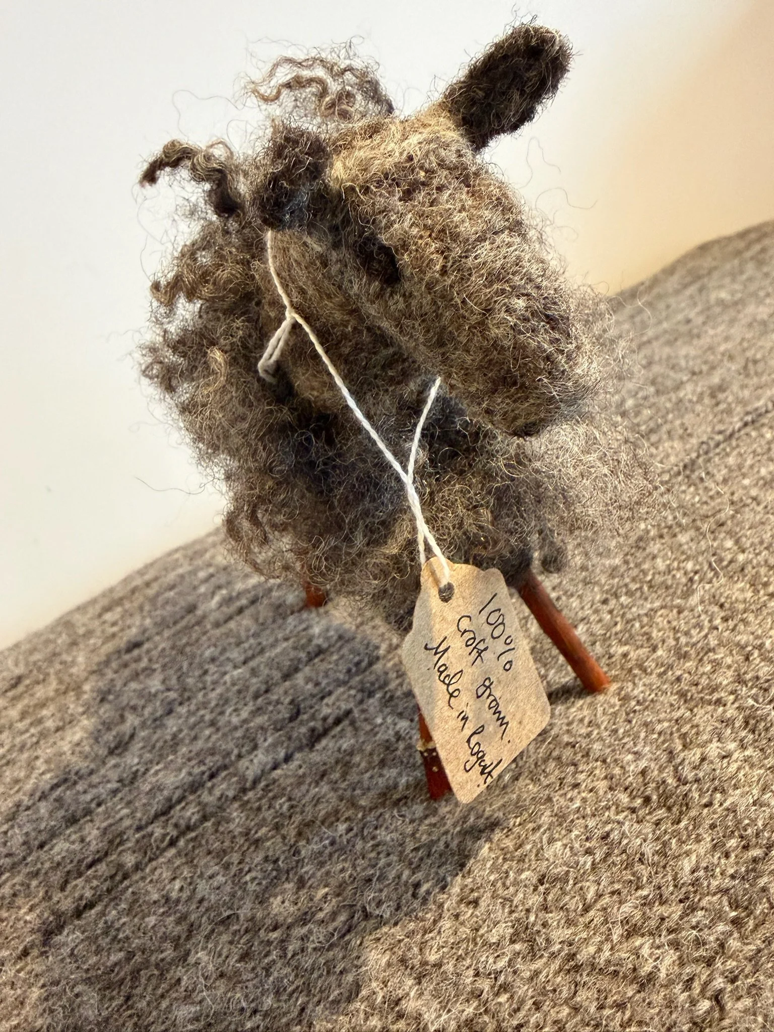 Small Tex by Mairi Hedges