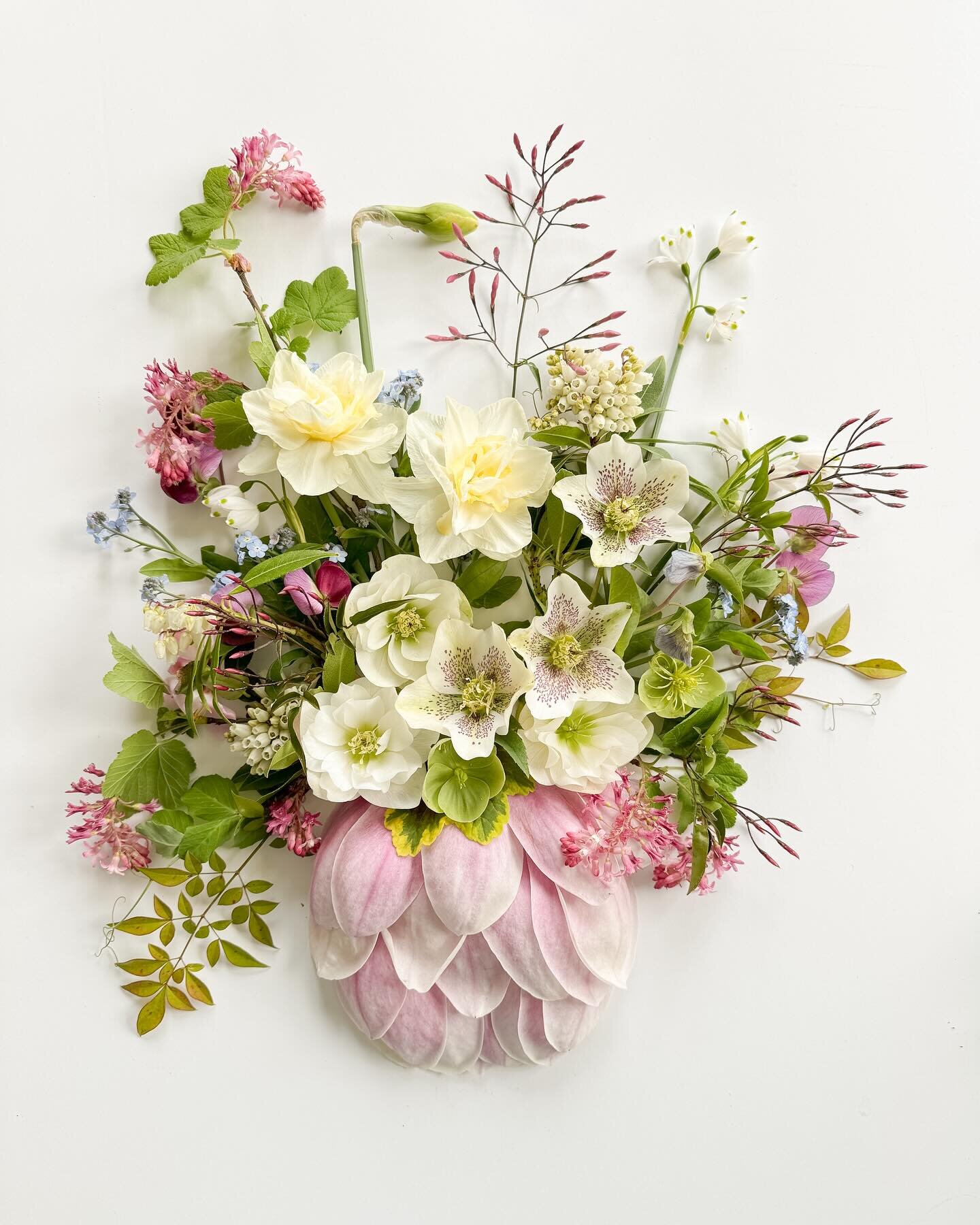 Magnolia petal vase &hellip; of spring goodness. The rain 🌧️ is back which means the end of the magnolia&hellip; but there is a glimmer of sunshine for Easter next week. 

#flowerflatlay #flowers #whatisbloomingnow