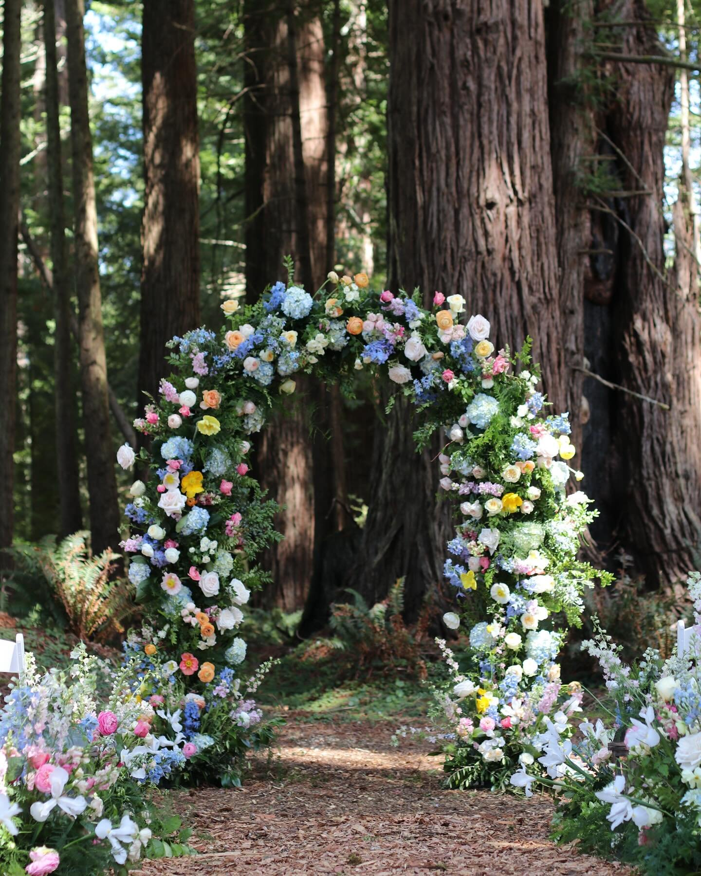 Yesterday&rsquo;s magical ceremony arch in the Redwoods.  The most stunning sunny April Day for A + A

Venue @ridgefieldweddings 

#redwoodwedding #northcoast #humboldt #humboldtwedding #ridgefieldwedding #ridgefieldevents #humboldtflorist #arcatawed