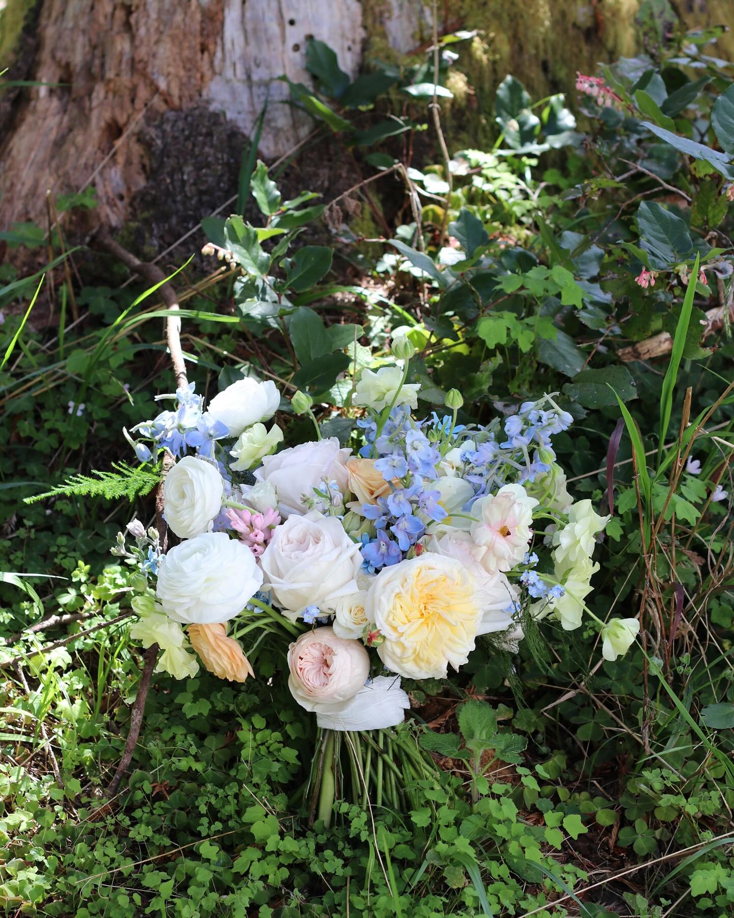 Just a pretty spring time bridal bouquet nested in the forest. 🧚&zwj;♀️ 

#humboldtflorist #humboldtwedding #northerncaliforniawedding #humboldtflorist #arcataflorist #floraldesigner #2024wedding #ferndalewedding #southernoregonwedding #redwoodswedd