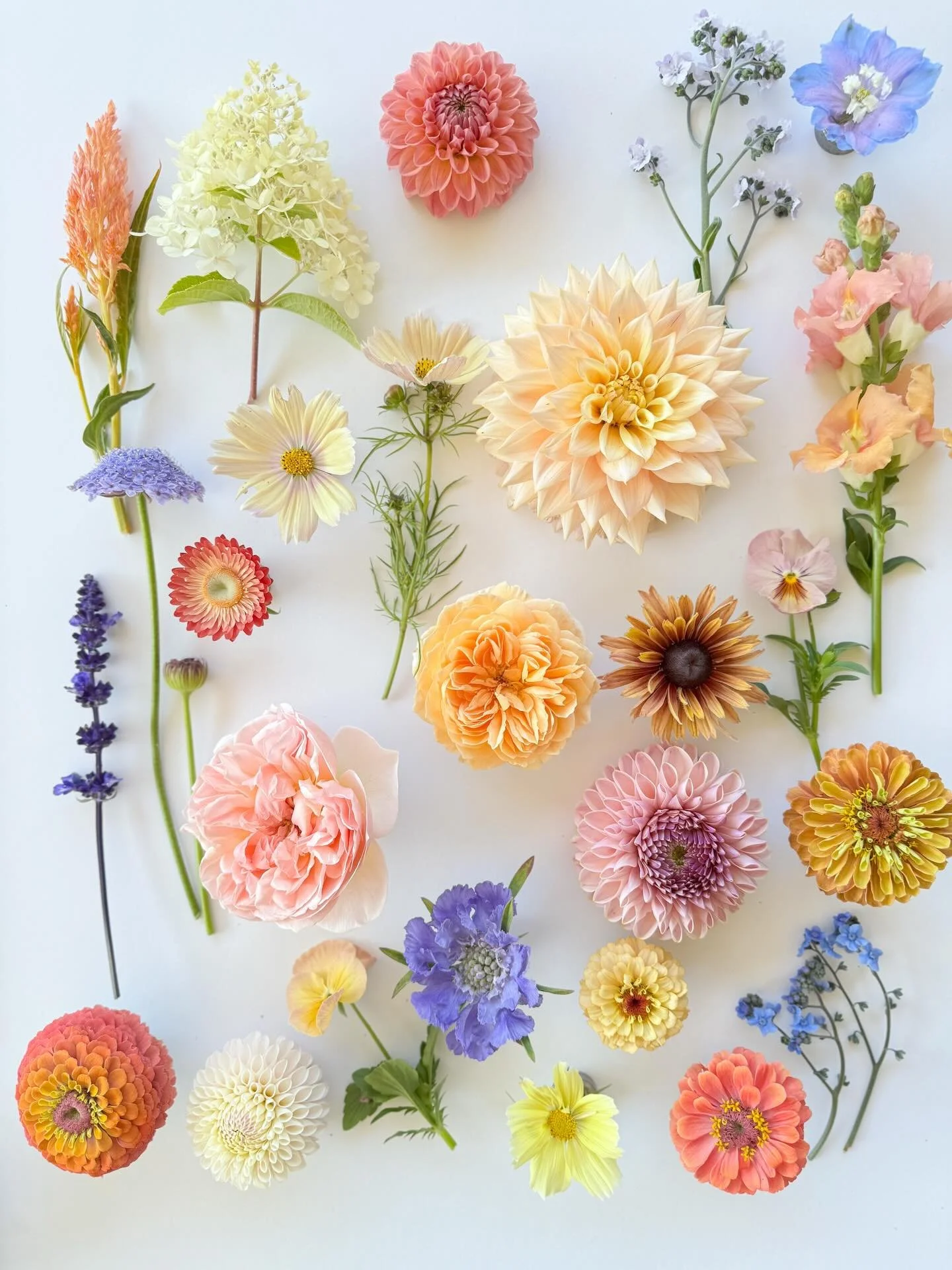 dreaming of summer wedding color palettes.