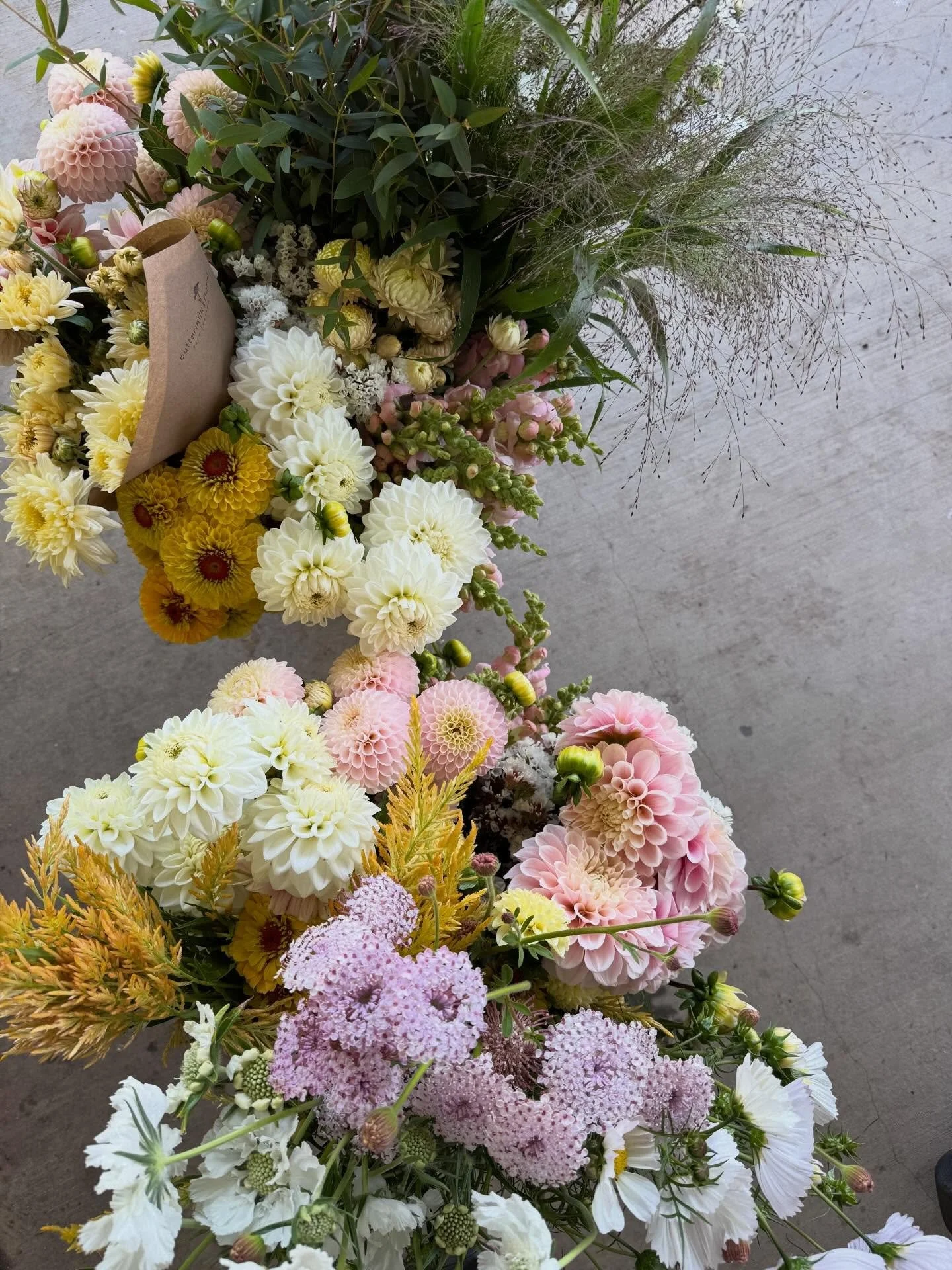 DIY Party buckets 

Bring the beauty of the farm straight to your event with our DIY Buckets of Bulk Farm-Grown Blooms. Each bucket is filled with a seasonal selection of fresh, field-grown flowers&mdash;harvested at their peak from our farm just for