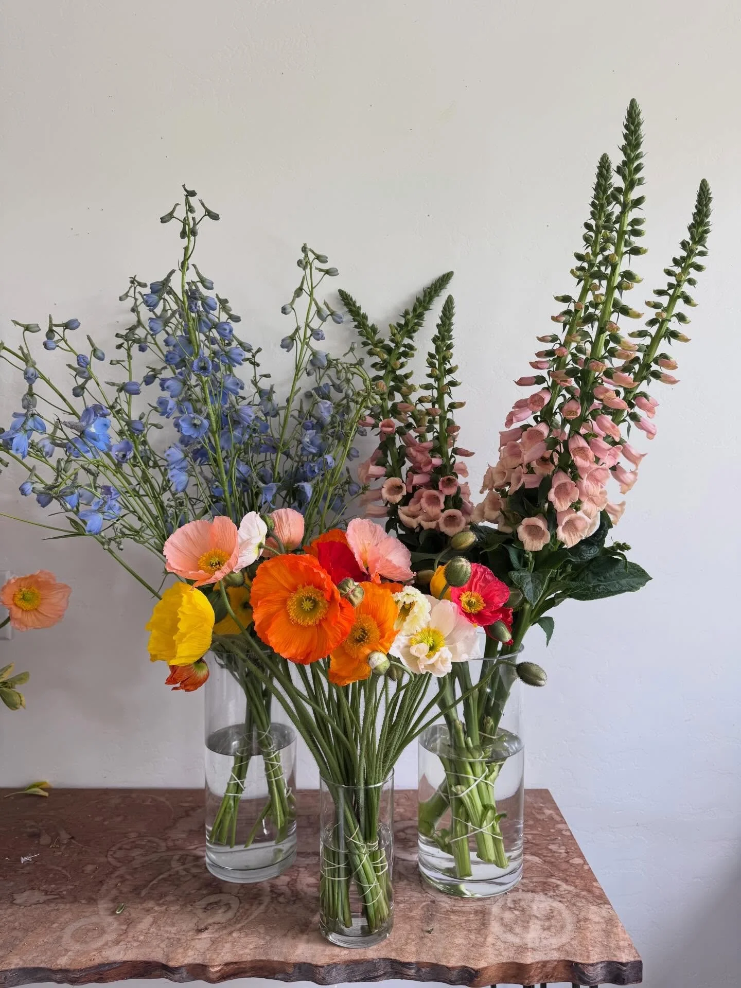 Happy Friday! 

Rain is coming today and we are wrapping up a bunch of projects before spring break next week. 

1. Poppies, Bella Donna, and foxglove at the store this week.
2. The prettiest chonky peach foxglove 
3. Dahlia Field planted!
4. The fir