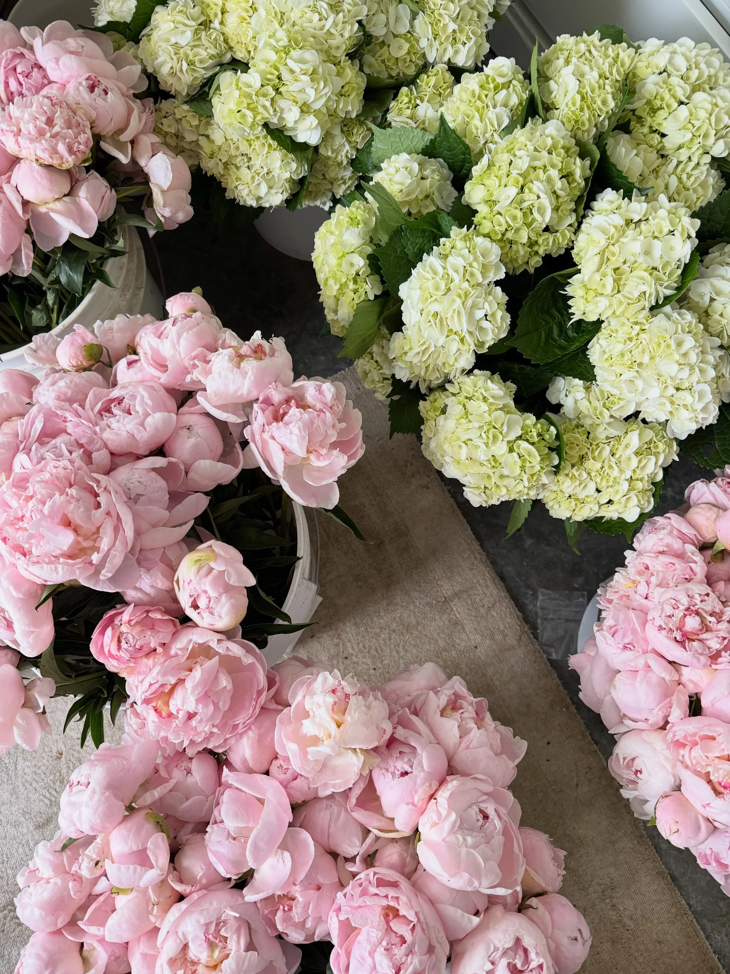 Flowers are filling up every corner of the studio this week including my office.