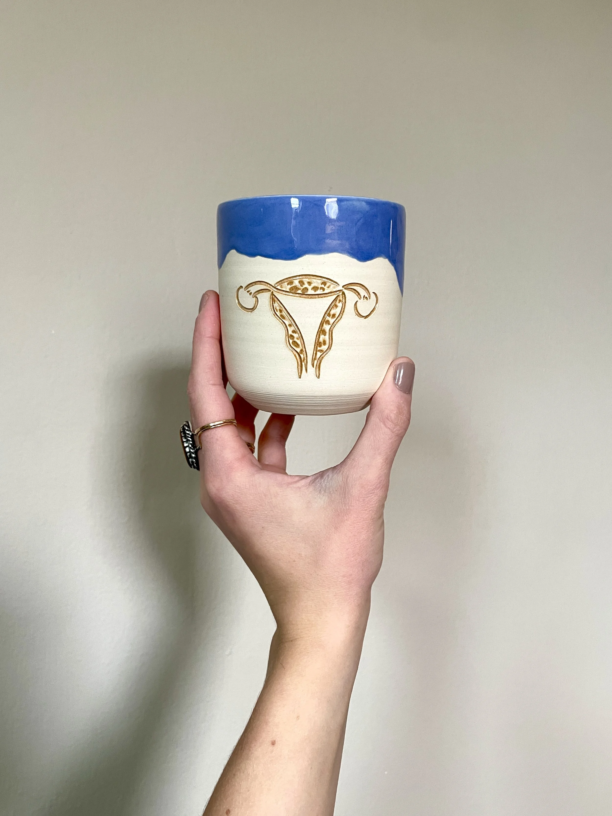 uterus cup