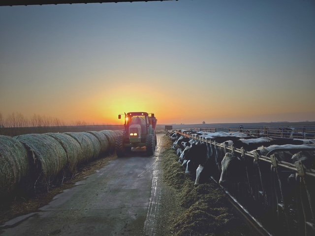 J&amp;S Dairy: A Growing Legacy