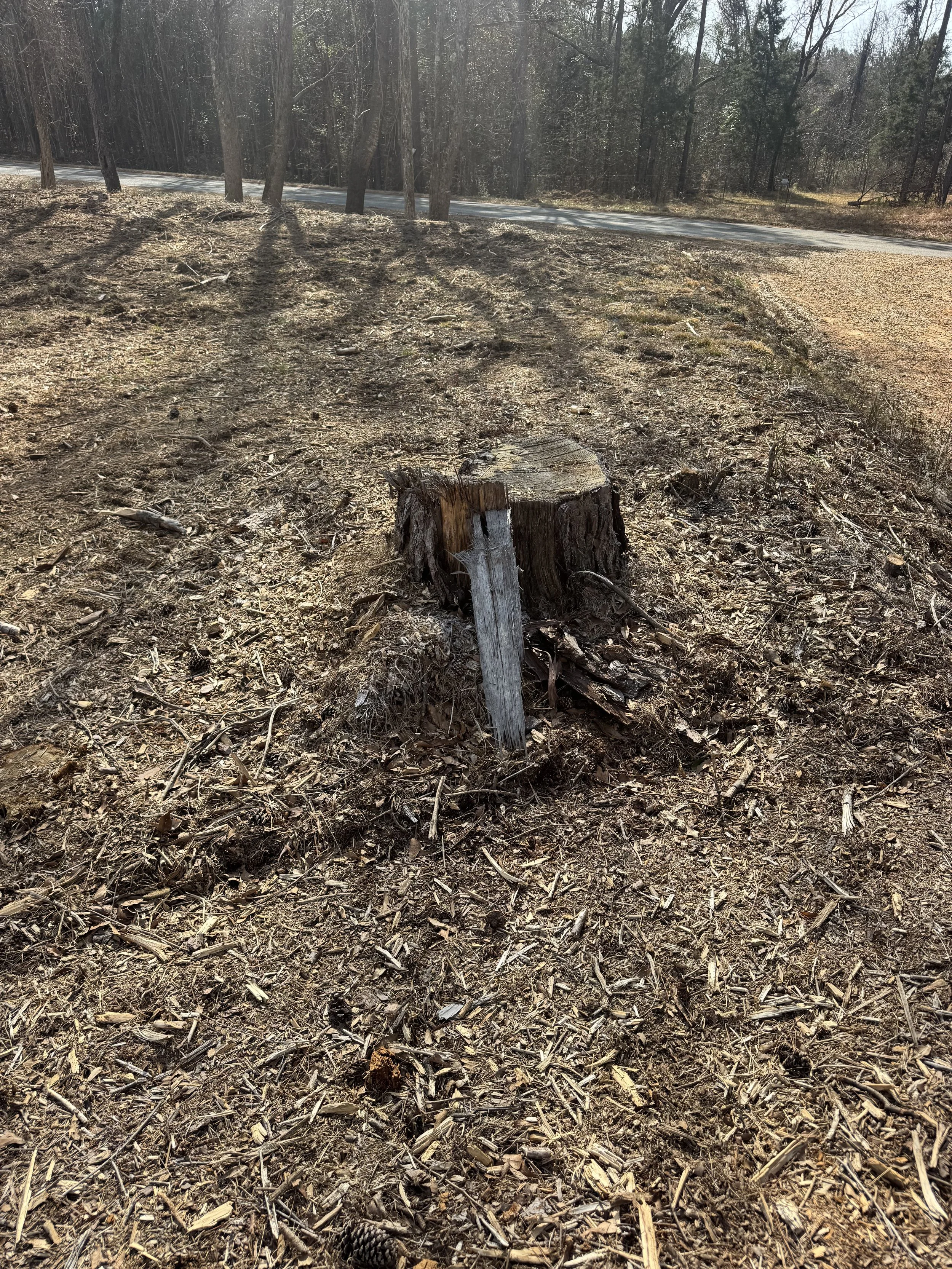 Spring Prep Is Underway: Tree Cutting, Stump Grinding, and Mulching for a Clean, Smooth Finish