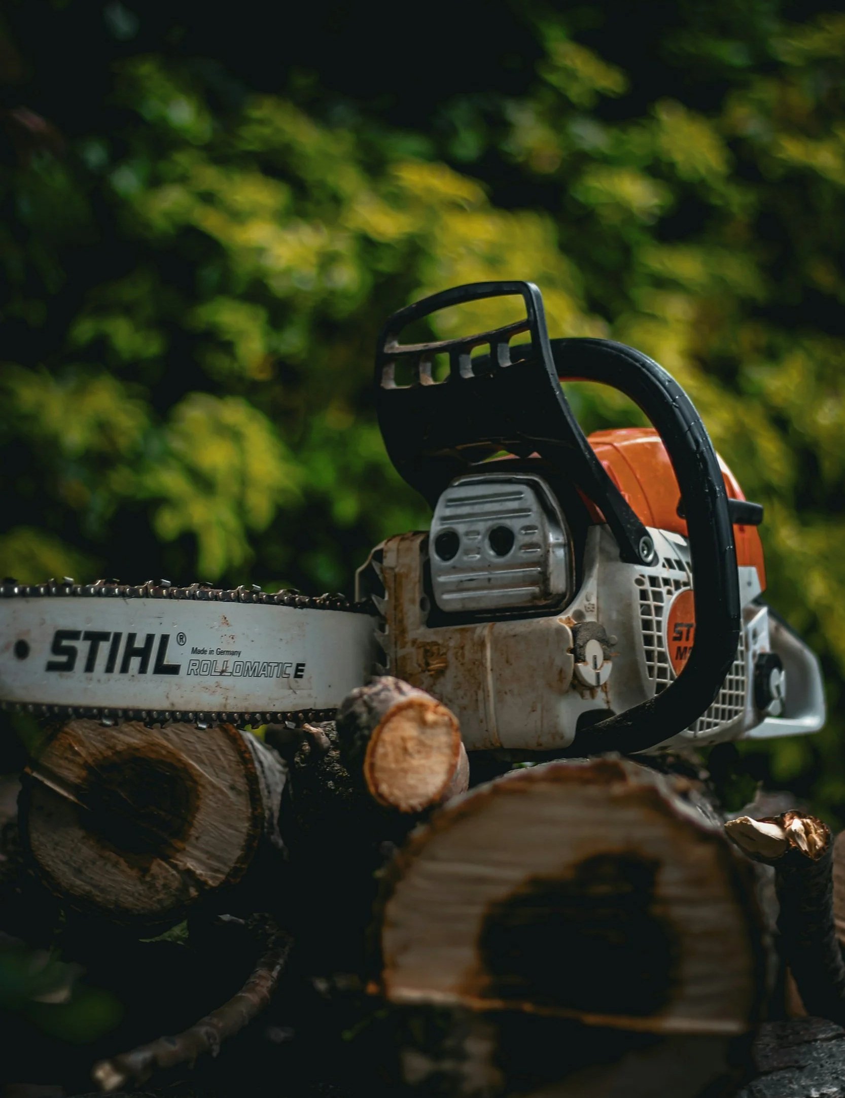 Why Choosing a Local, Bonded, and Insured Tree &amp; Outdoor Service Provider Matters