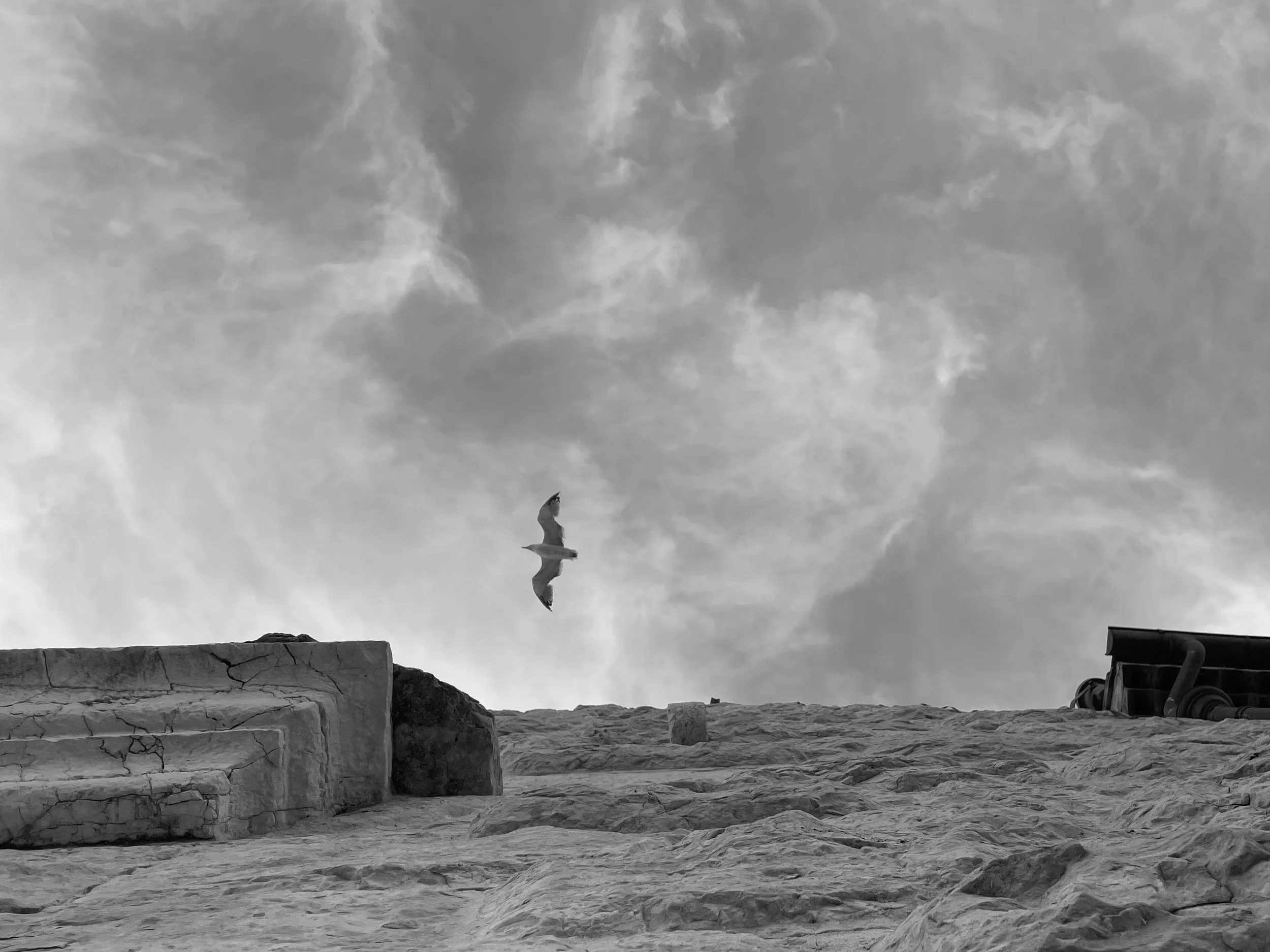 Black and white image of a bird flying against a cloudy sky above an ancient stone wall.