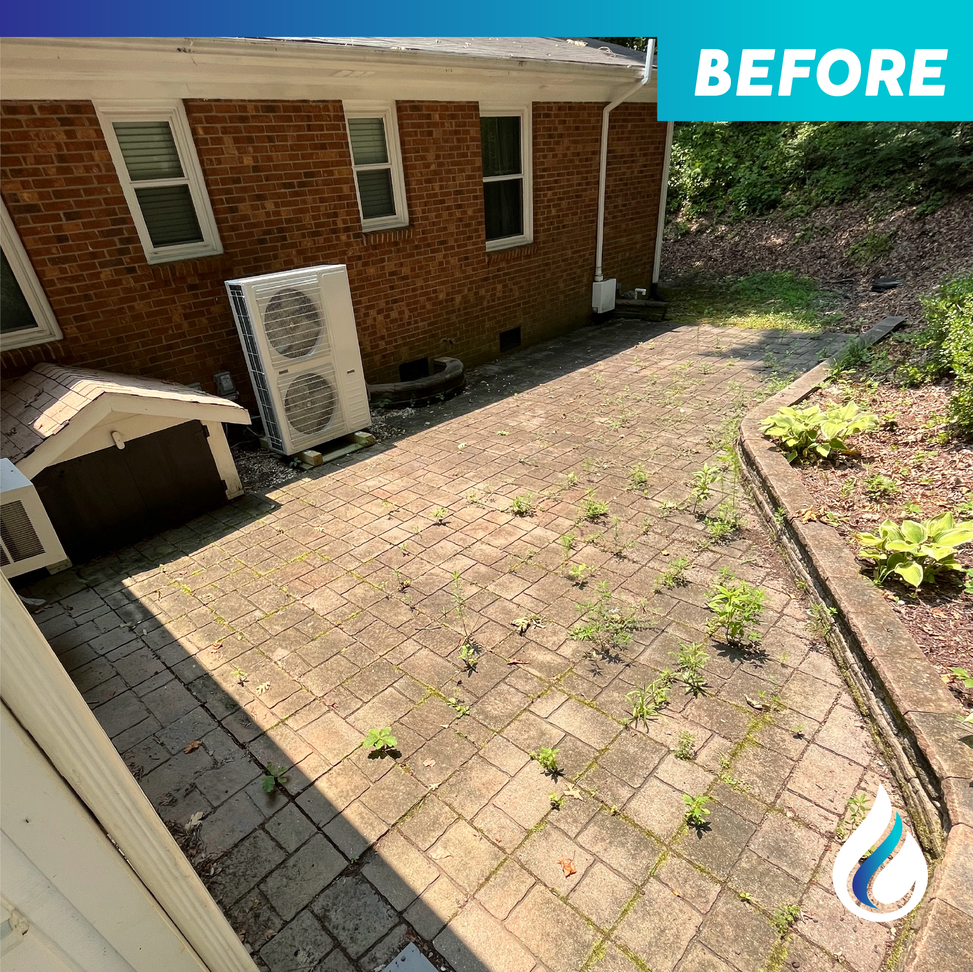 Paved Patio (Before)