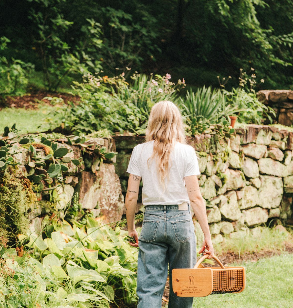 Frankie - GARDENS.jpg