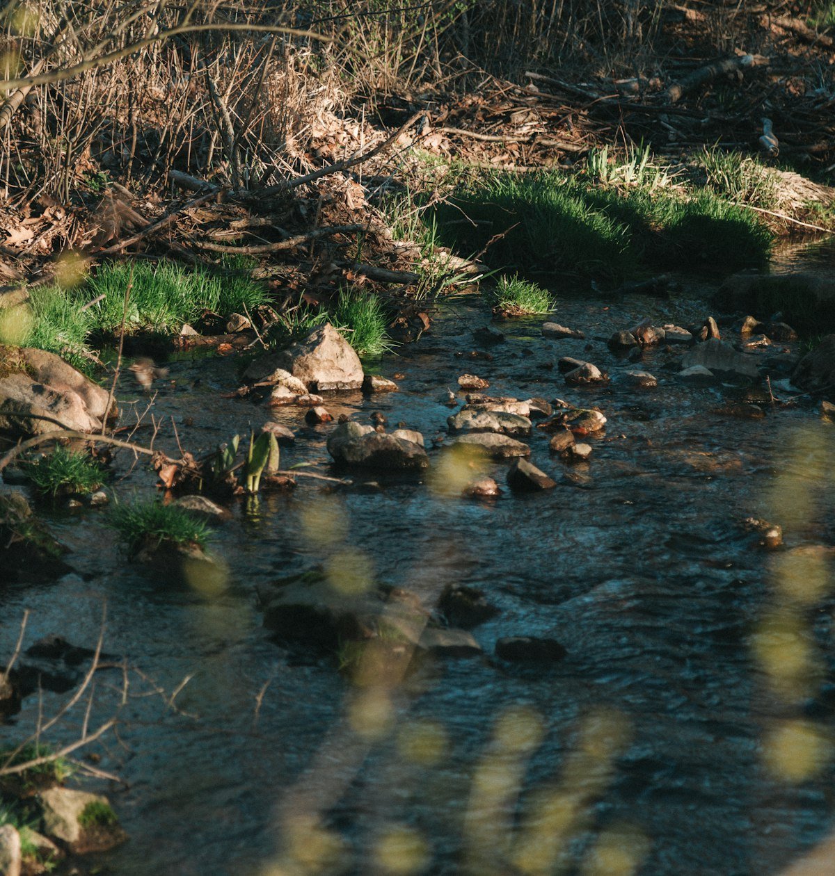 Protected Wetlands.jpg