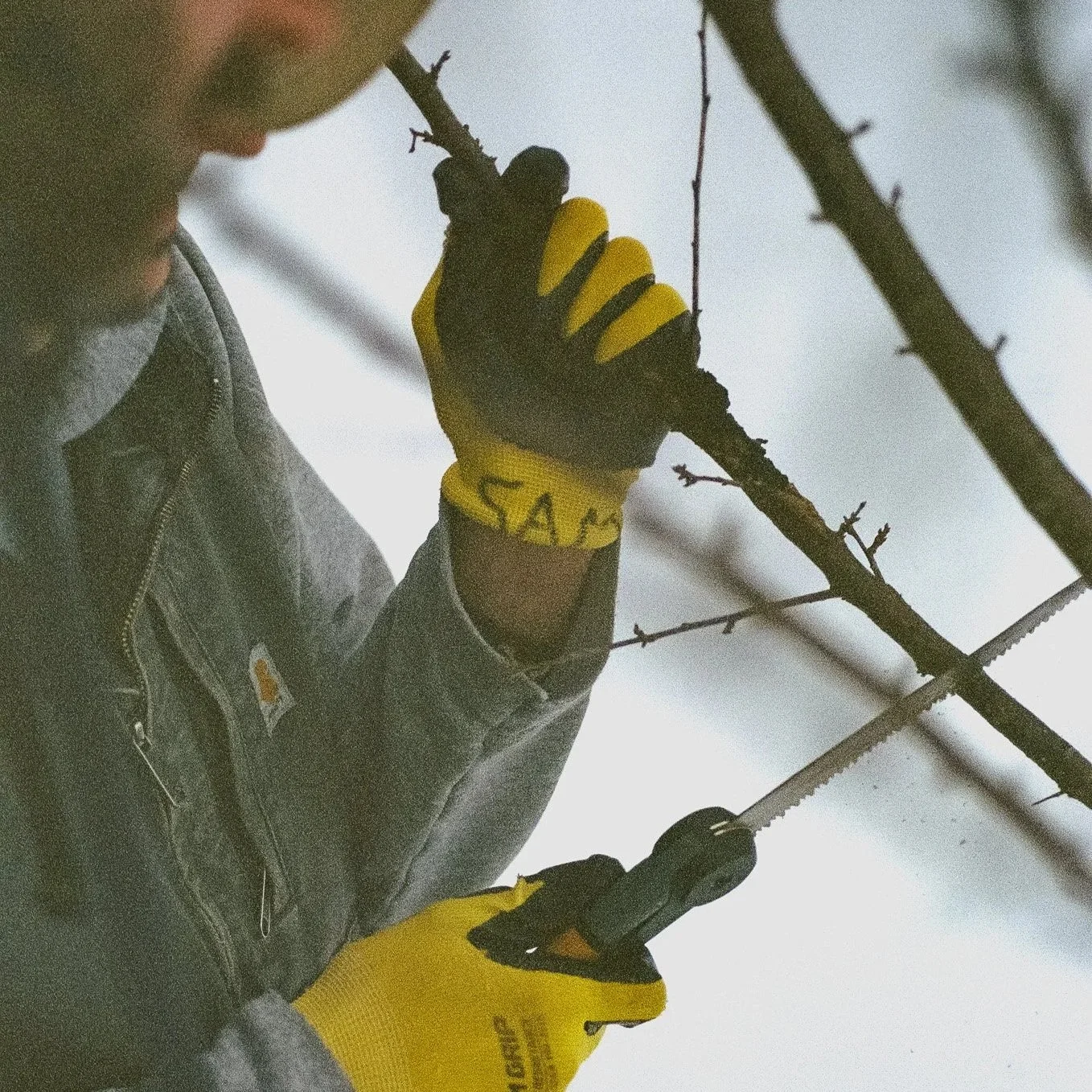 Preparation Before Bloom