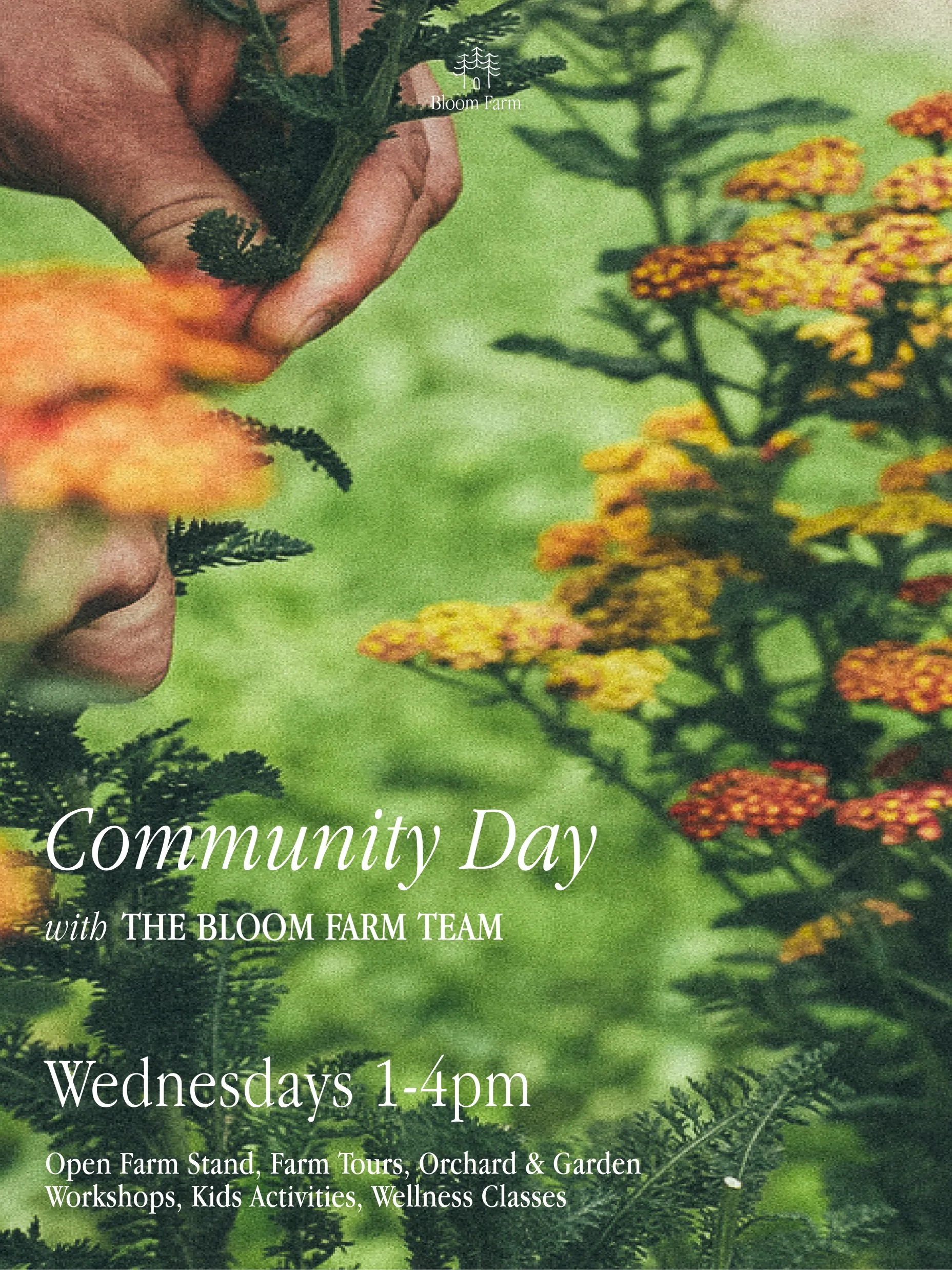 Community Day v2.jpg