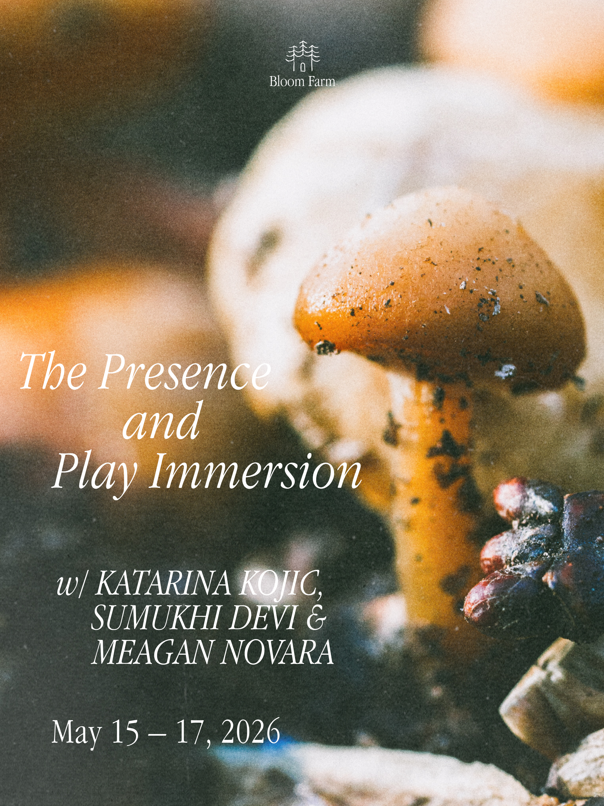 Presence and Play Immersion