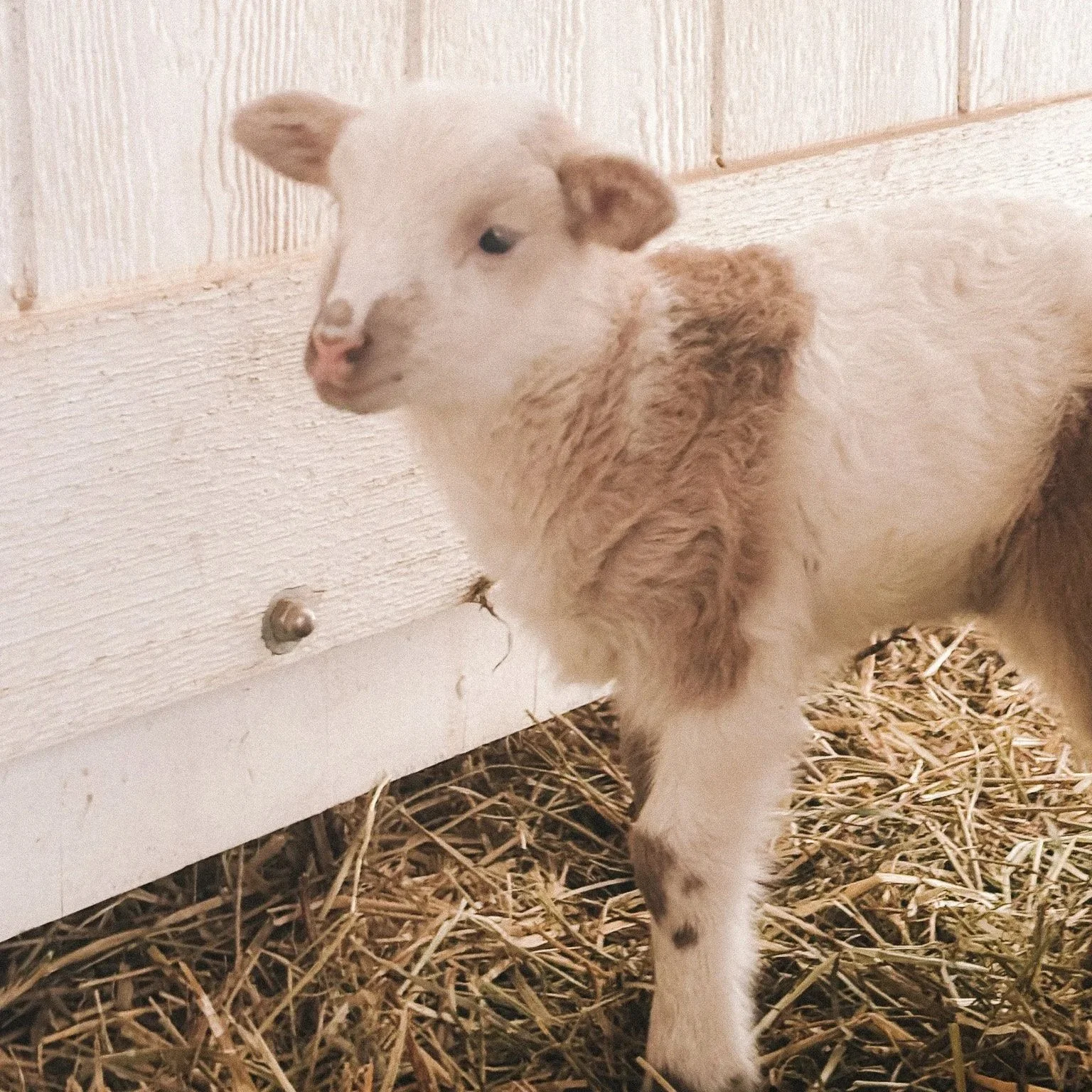 First Signs of Life