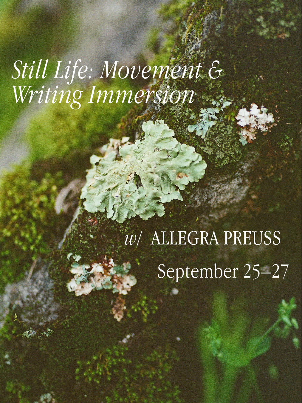 Still Life (2).png