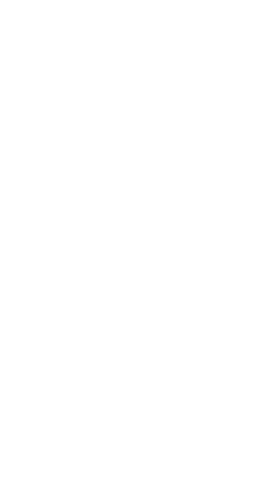 White outline of a single oak leaf on a black background