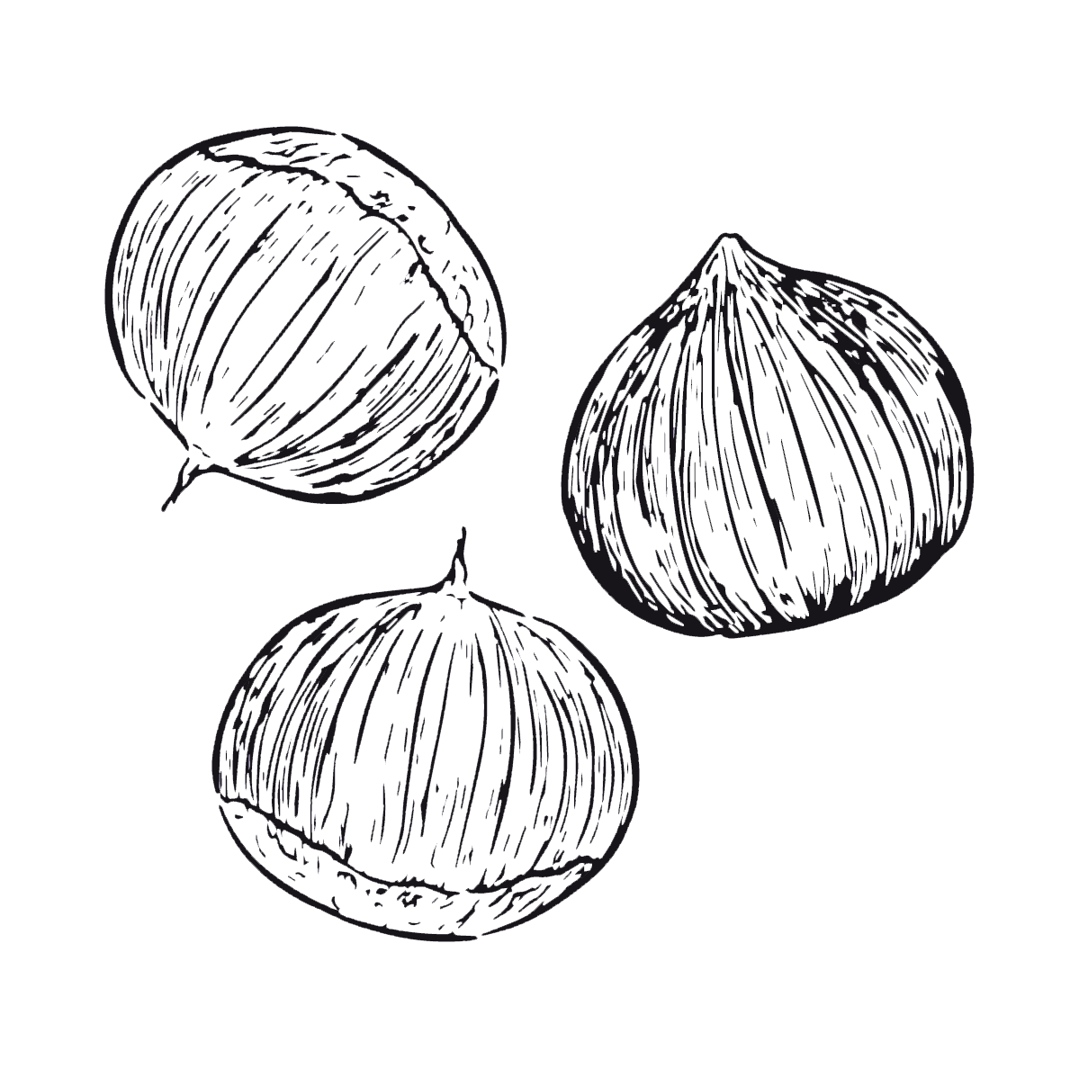 Sketch of three figs, one sliced open showing inner texture, and whole figs with textured skin.