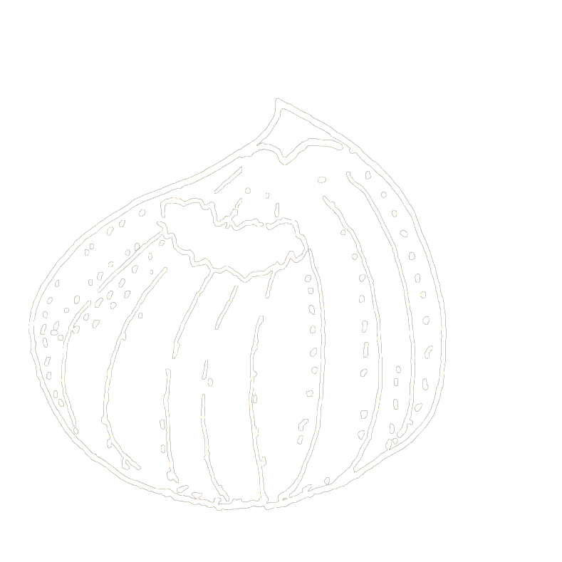 White line drawing of a pumpkin on a black background.