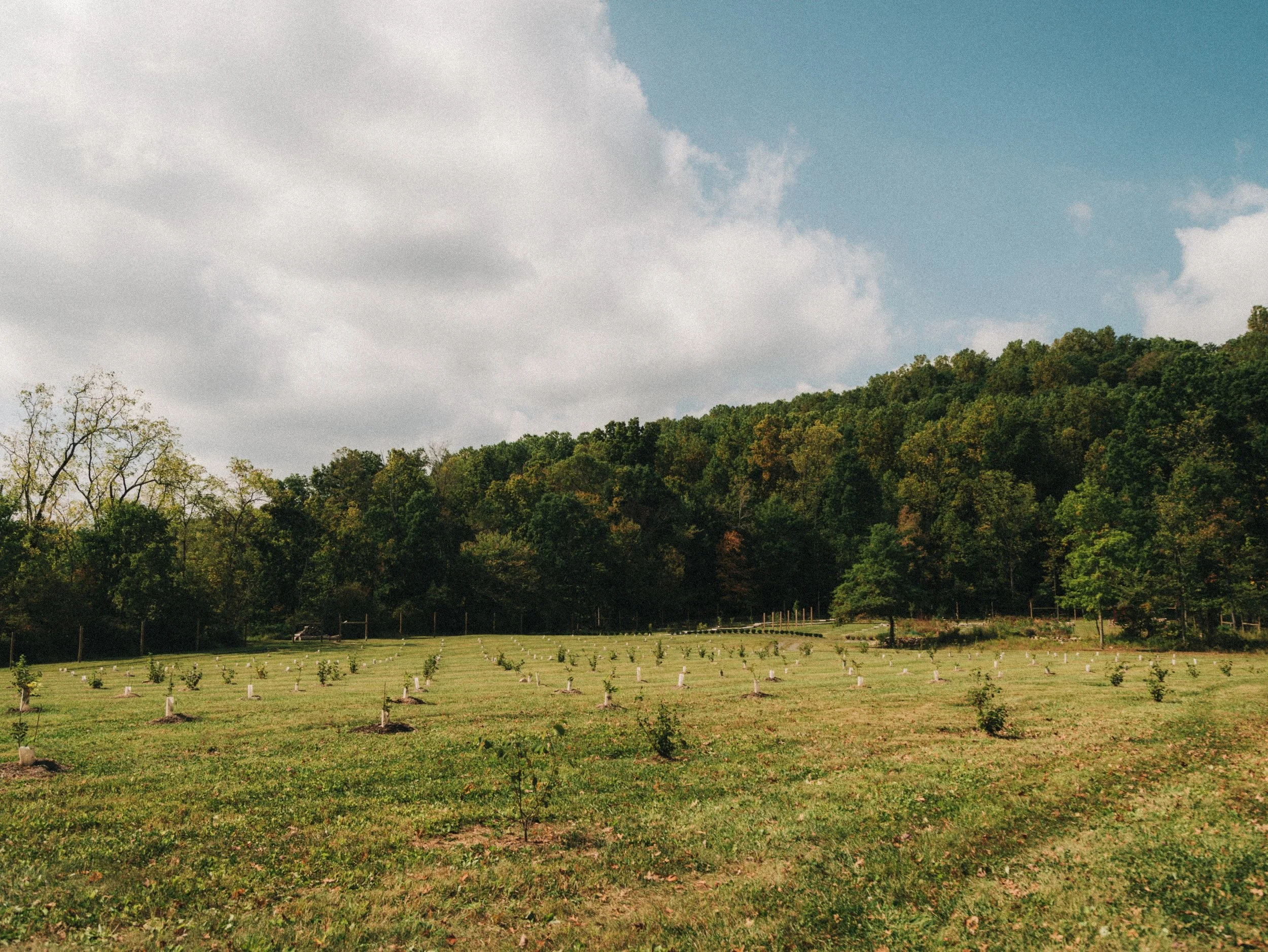 Bloom Farm: Nature Preserve & All-Inclusive Farm Stay