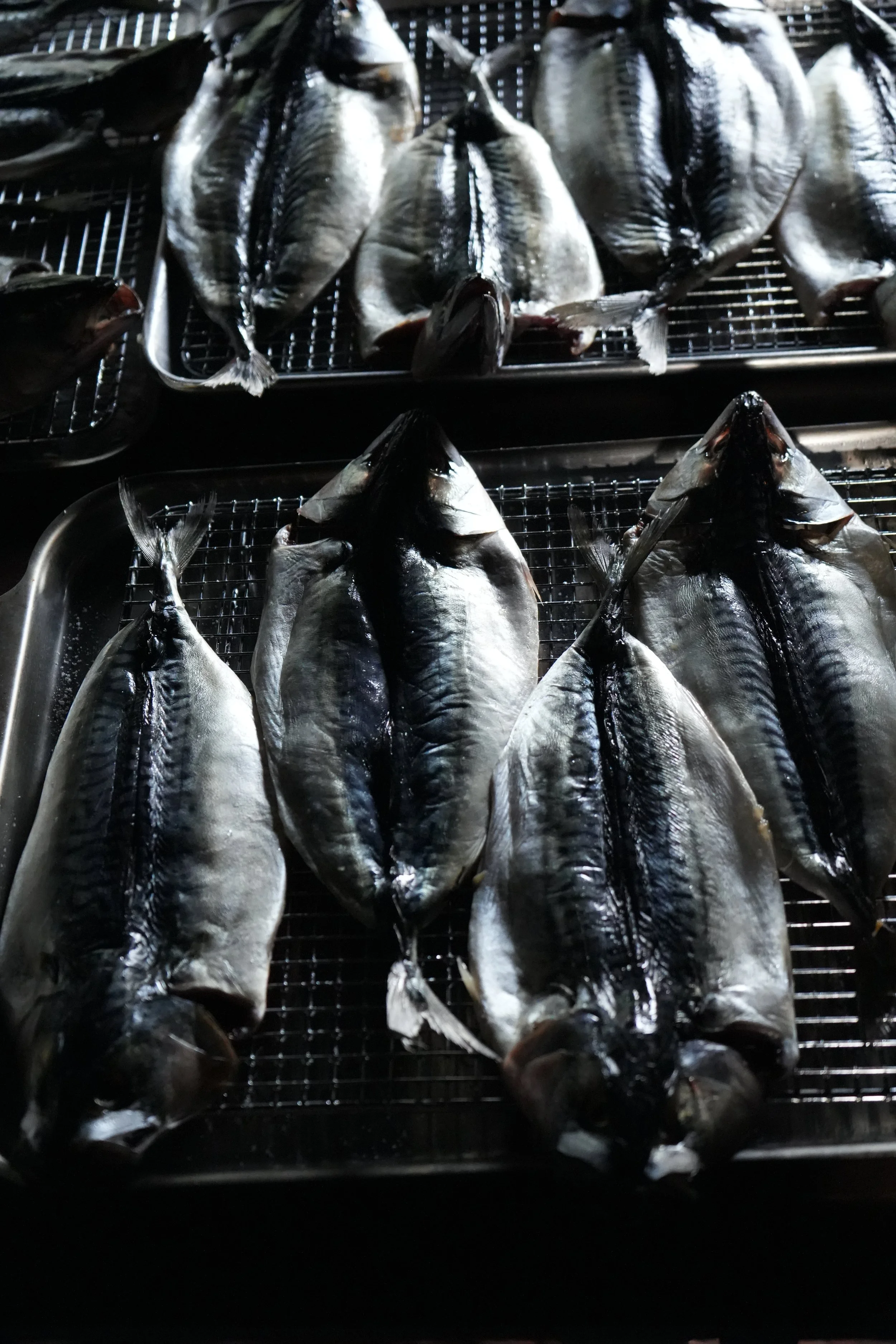 Fresh mackerel fish arranged on trays for cooking or drying.