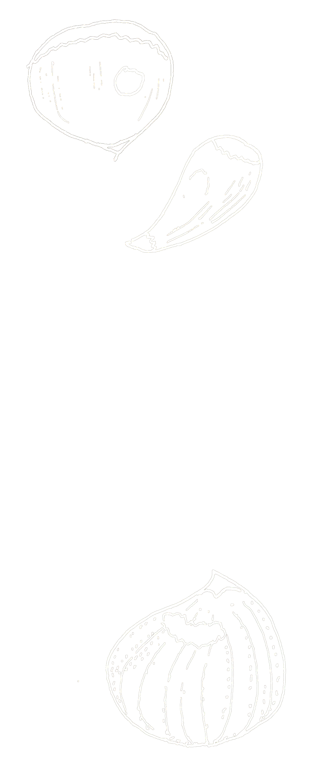 White outline drawings of a garlic bulb, garlic clove, and a smaller garlic bulb on a black background.