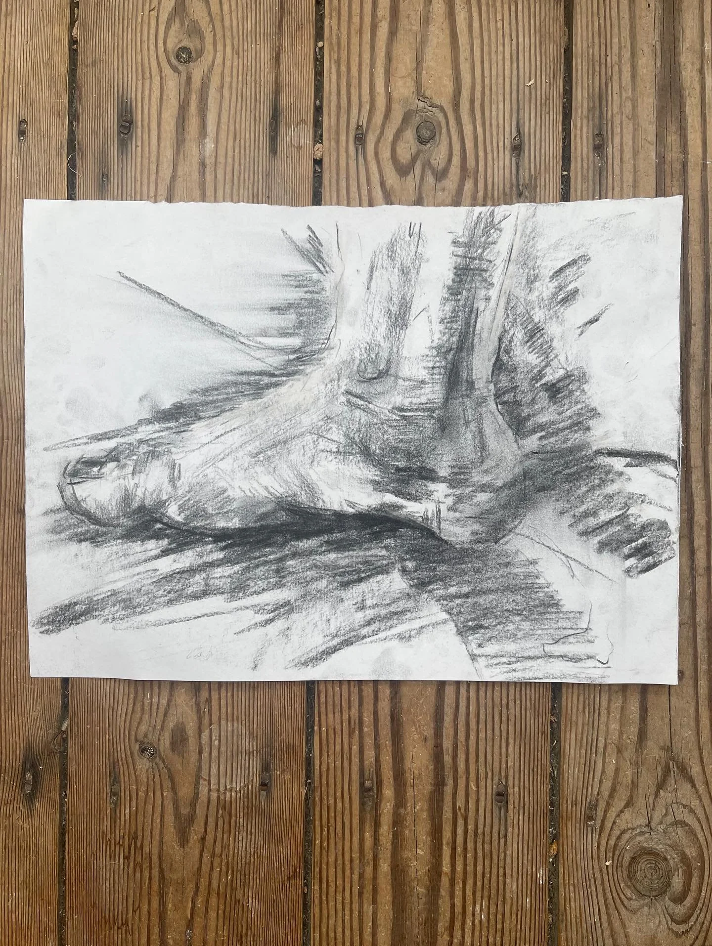 Foot study 1

Slowly getting back on the horse, this is probably the longest I&rsquo;ve left not posting on this account since I&rsquo;ve started. Been going through some personal things, as well as rethinking why I show my work on Instagram. I don&r