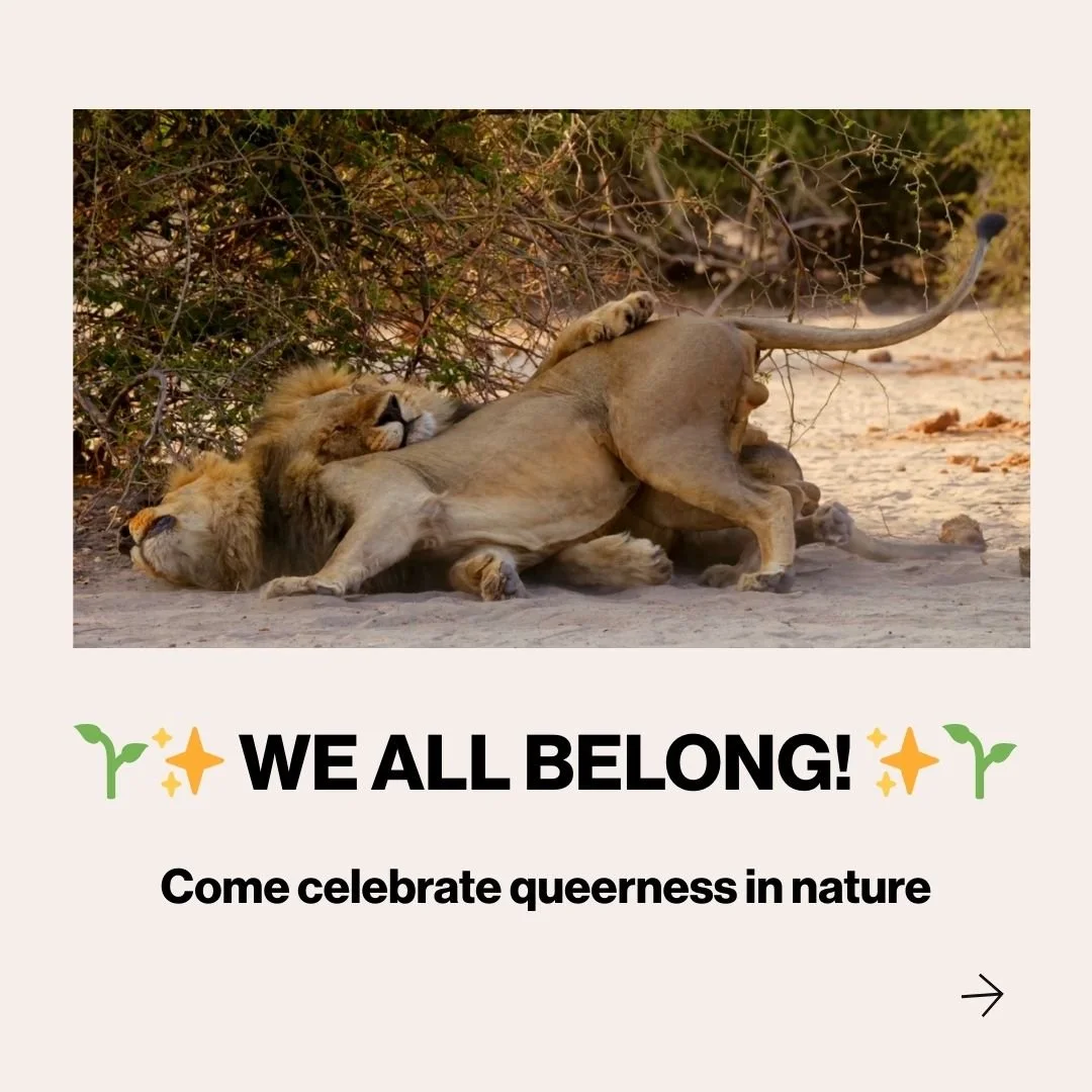 For More info and to Follow the film 
➡️ @secondnaturedoc
➡️ secondnaturedoc.com

🐒 💚 🐬

#SecondNature #QueerNature #ElliotPage #LGBTQFilm #WorldPremiere #AlliesInArts #SecondNature #queeranimals #queerfilmmakers #queerartists 

P.S. 💌 Want to sp