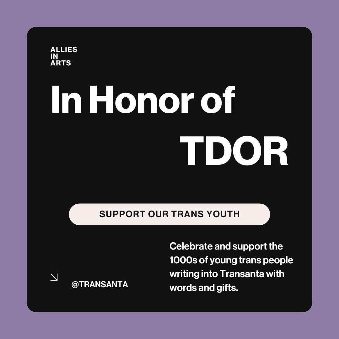 On Trans Day of Remembrance, we hold close the memories of the trans siblings we have lost and recommit to fighting for a world where all trans people can live long, safe, and joyful lives.
Transanta connects you directly with young trans people writ