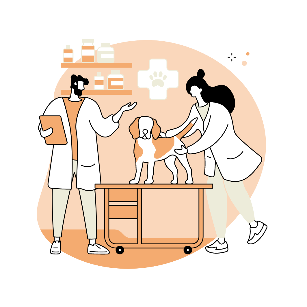 Illustration of two veterinarians examining a dog on a grooming table. Shelves with bottles and medications are in the background, and there's a paw print symbol on the wall.