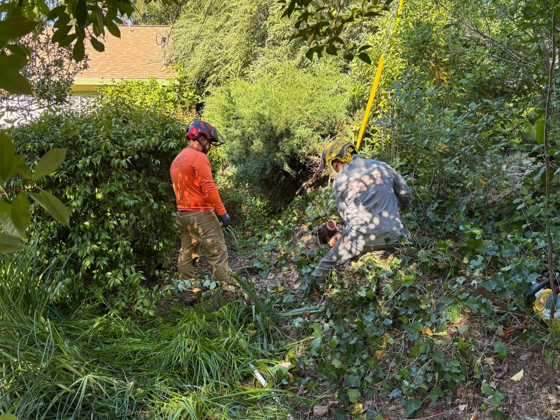 FSMO Awards First Grants