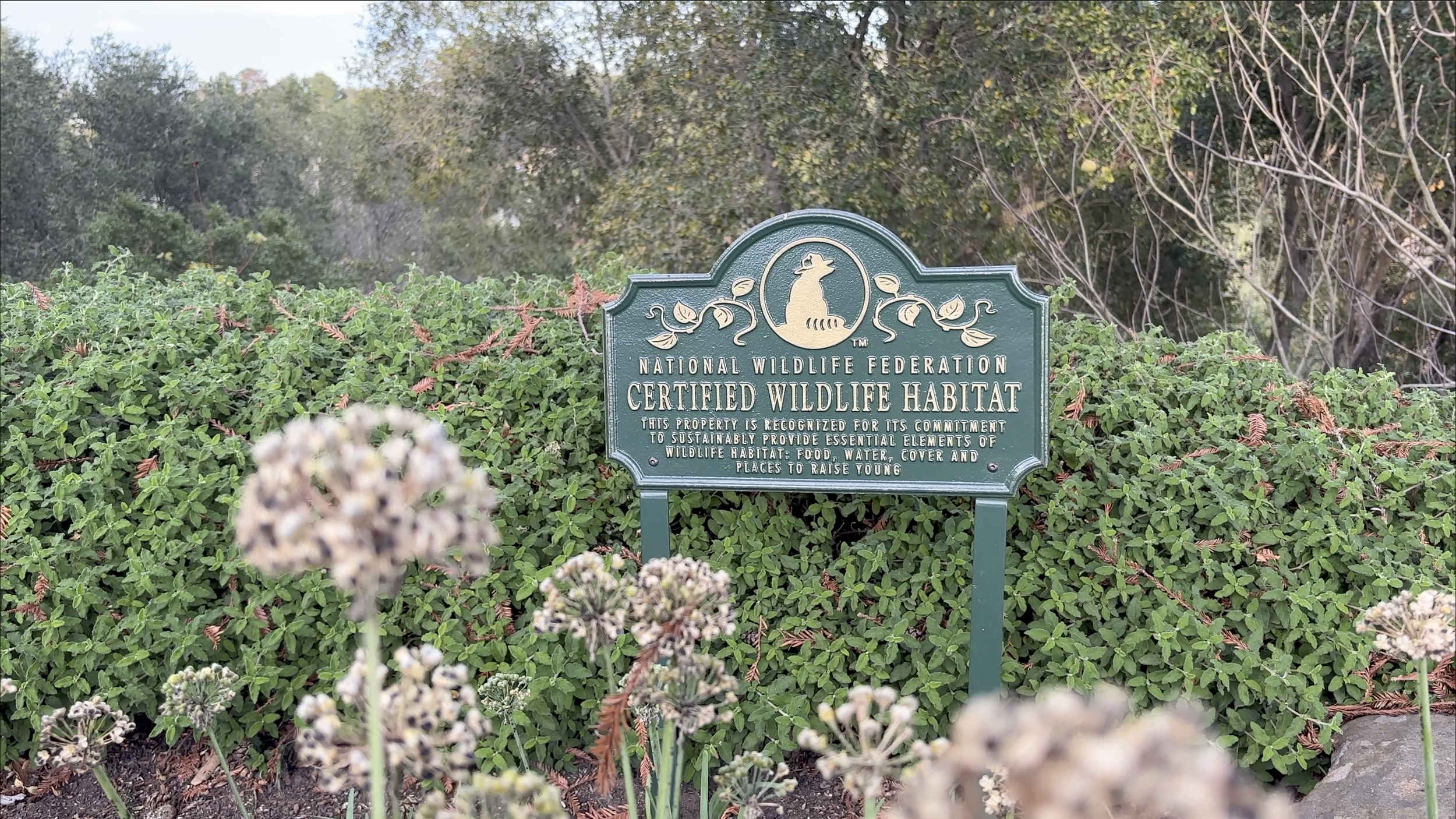 Screenshot 2026-01-13 at 5.33.43 PM.png