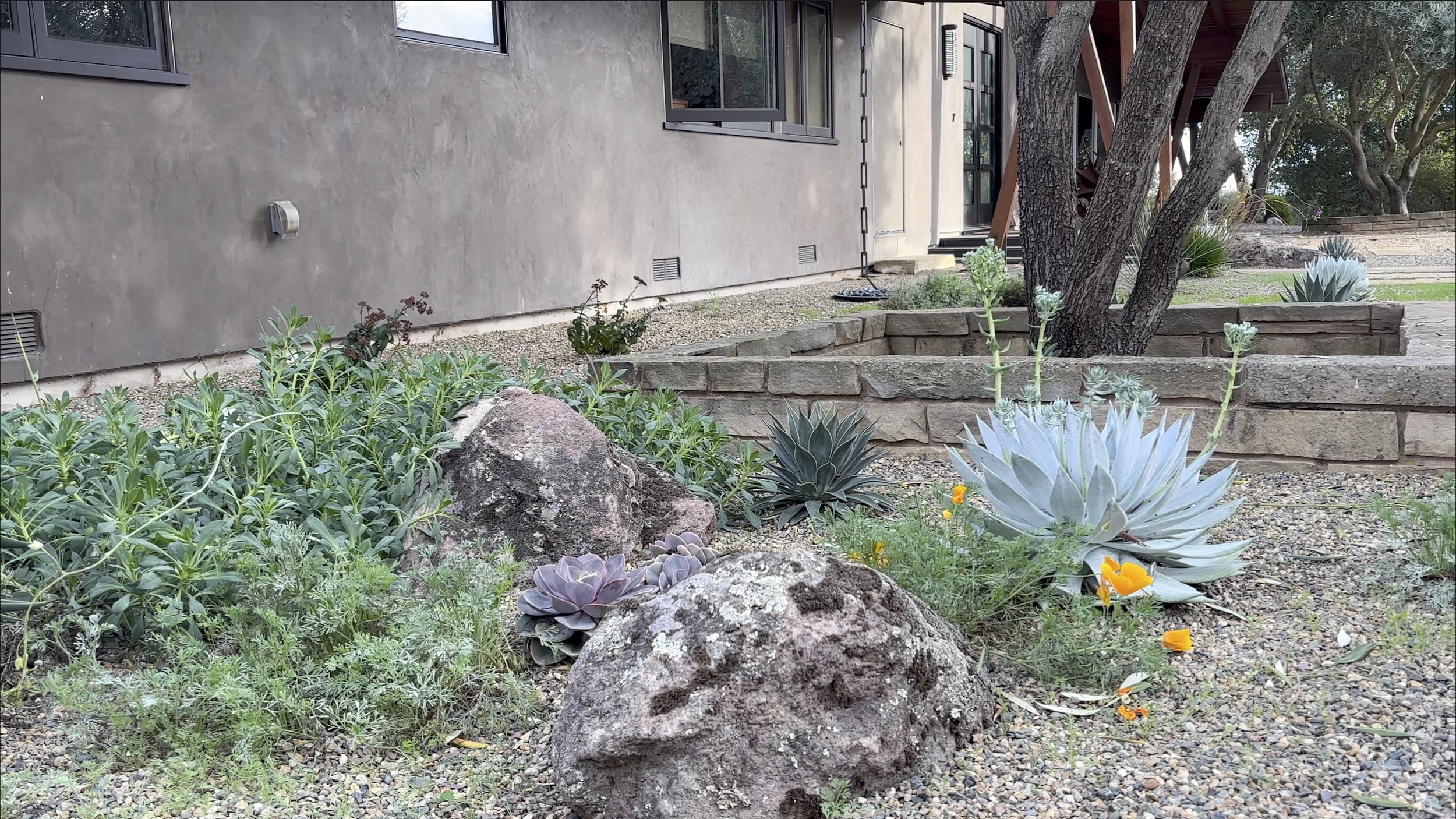 Screenshot 2026-01-13 at 5.29.38 PM.png