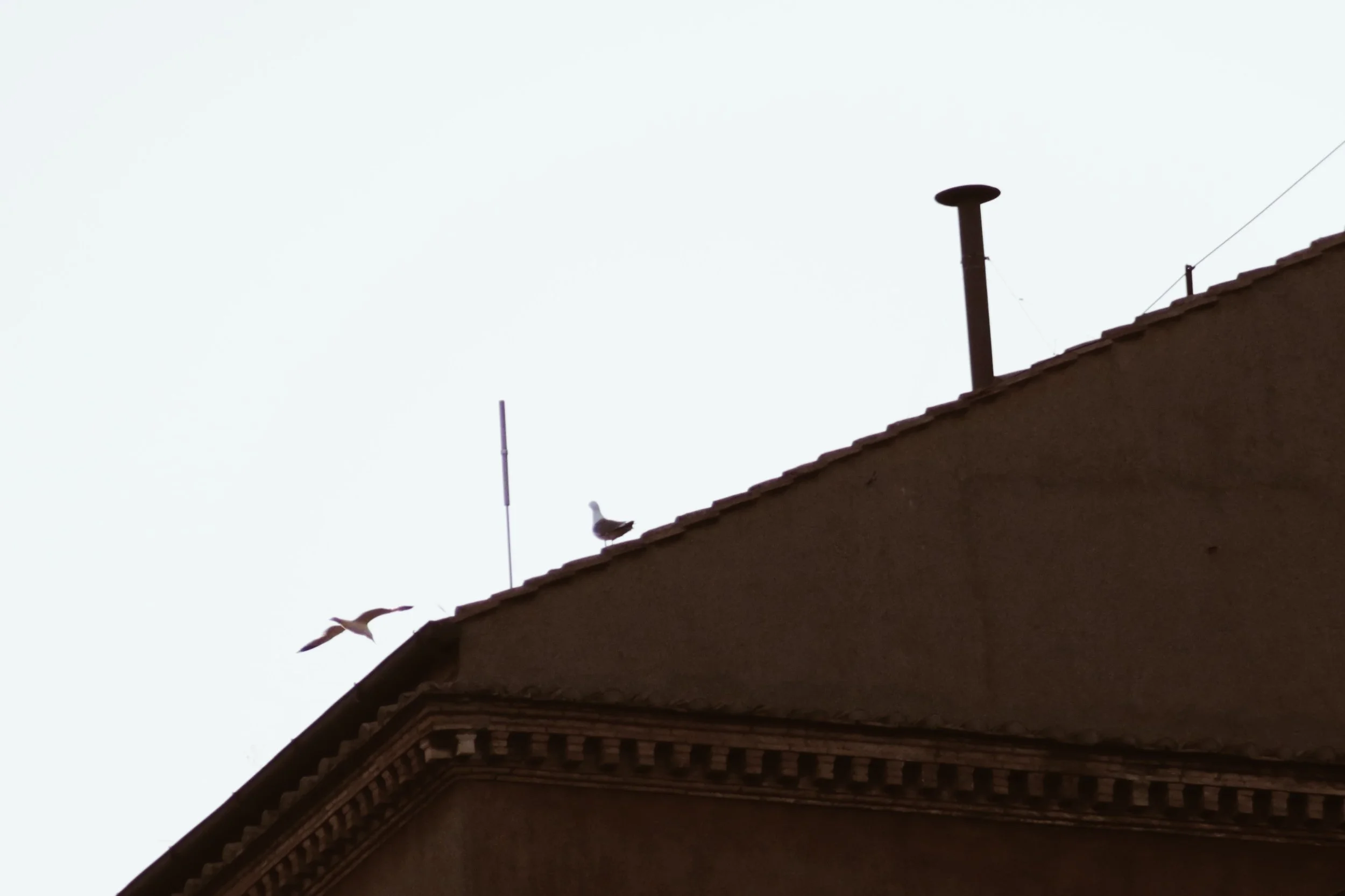 FullSizeRender_VSCO 6.JPG