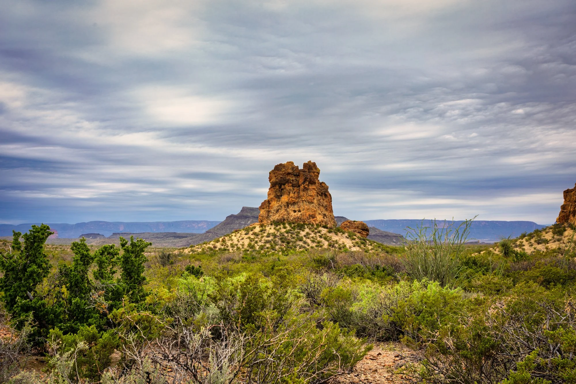 Big Bend National Park_032823-8361-Edit.jpg