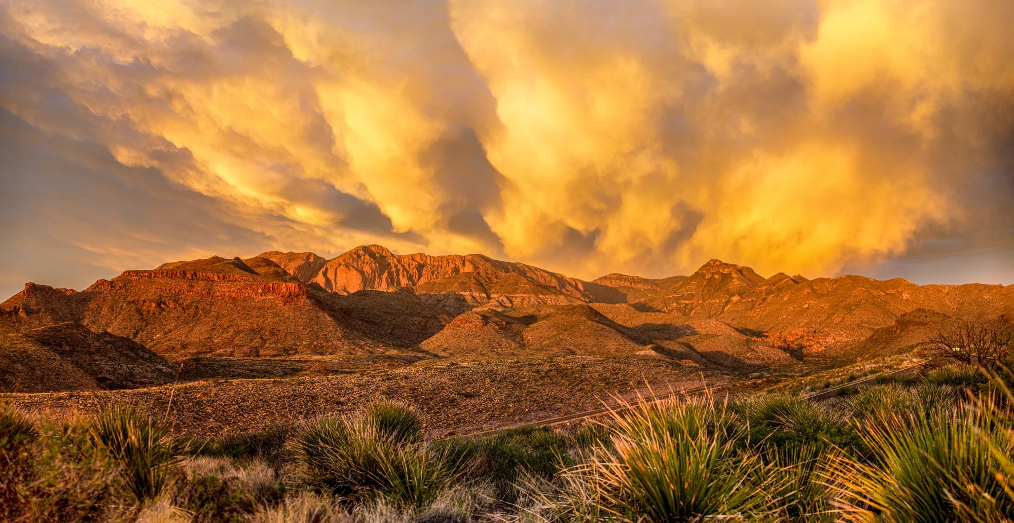 Big Bend National Park_033023-9069-Edit.jpg