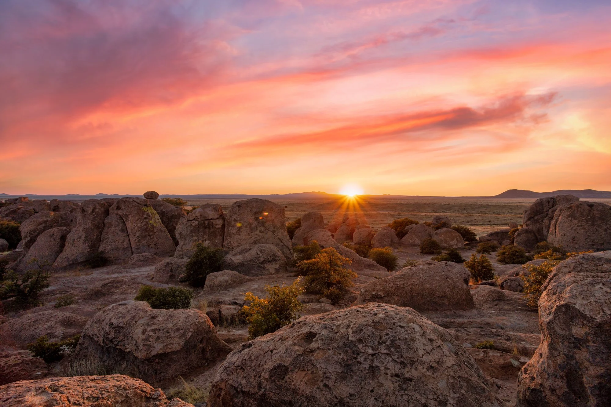 City of Rocks_NM_040323-8718.jpg