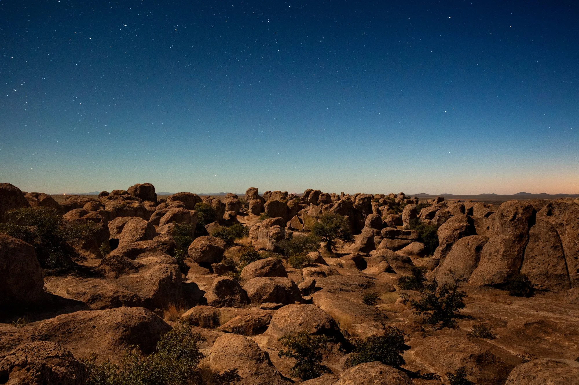 City of Rocks_NM_040323-8815.jpg