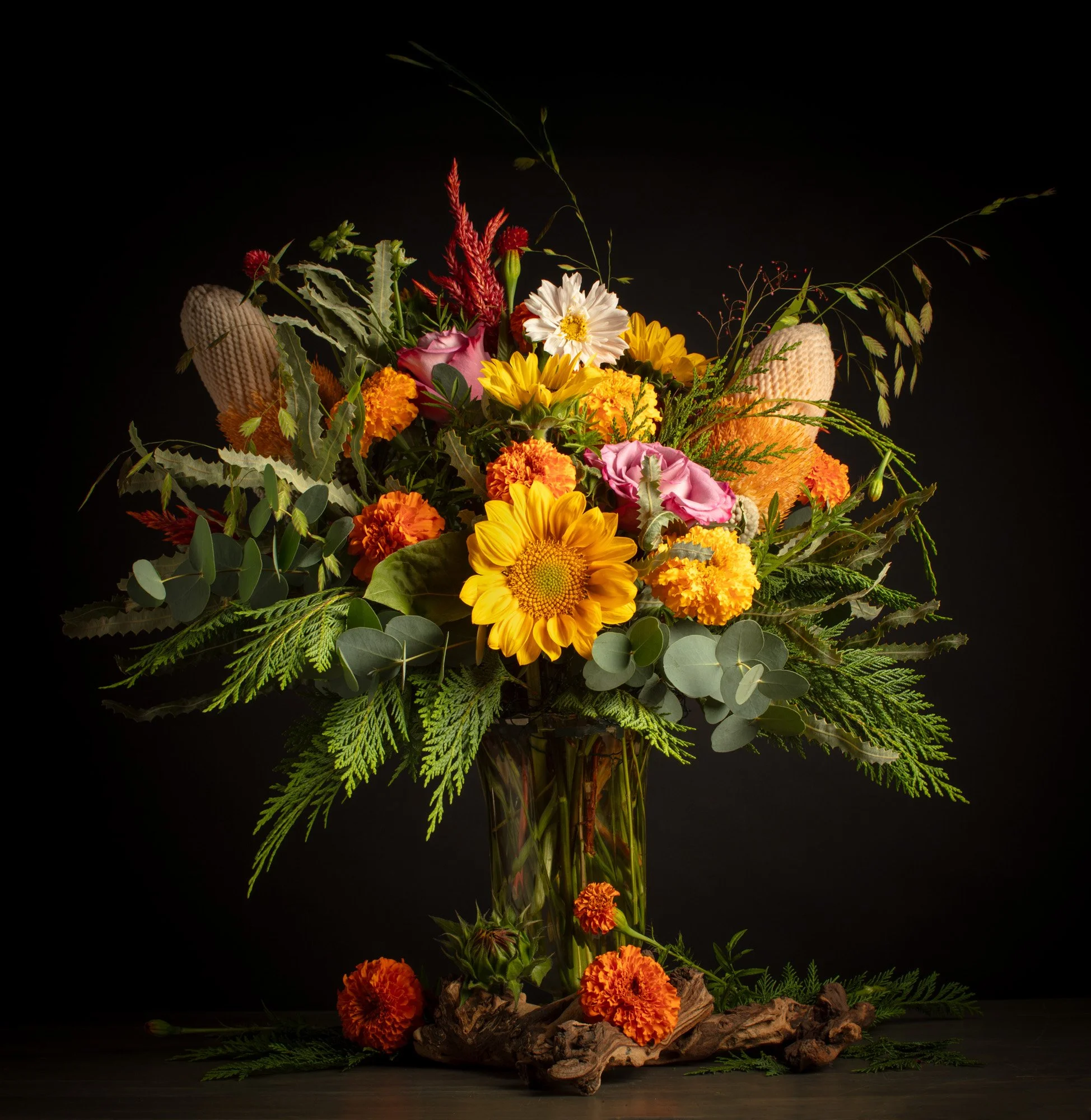 Petals in the Perfect Light: Flower Photography Workshop