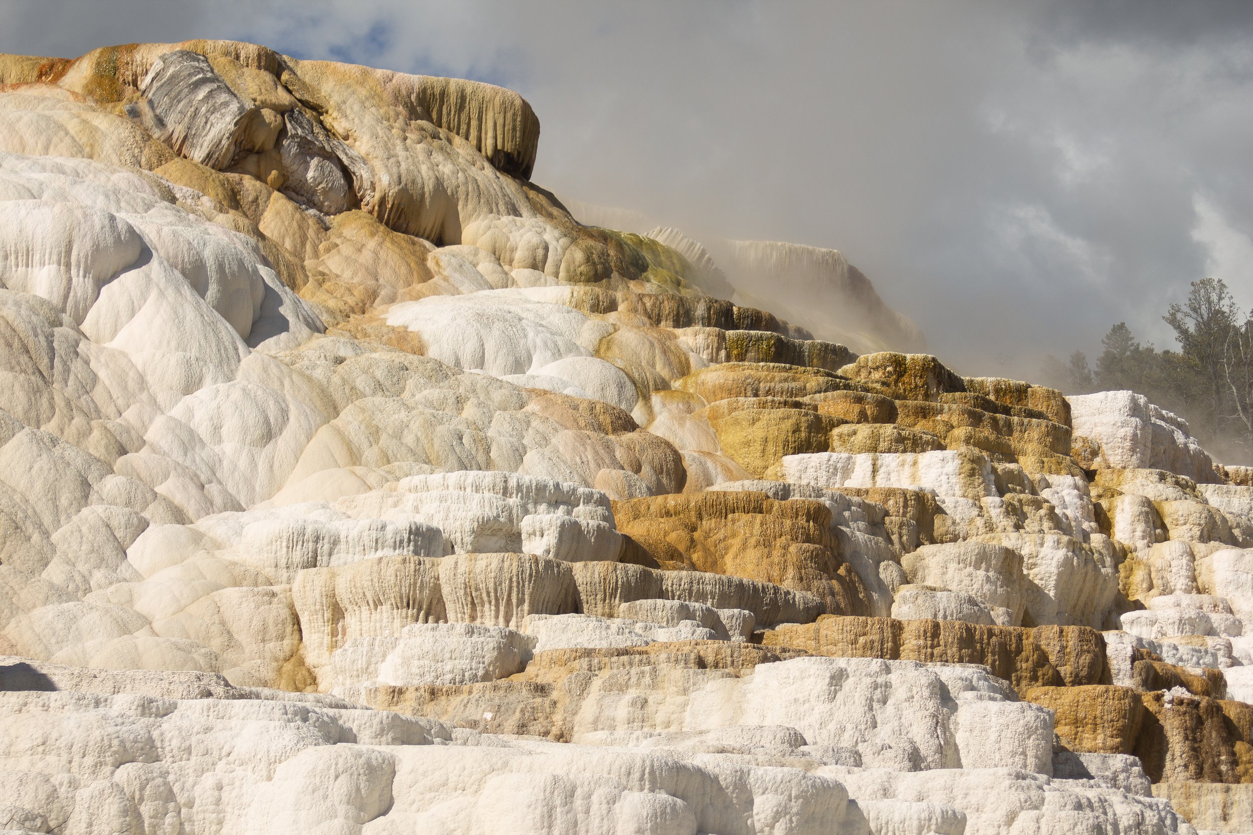 Pouring Life - Photography by Laureen Youngblood