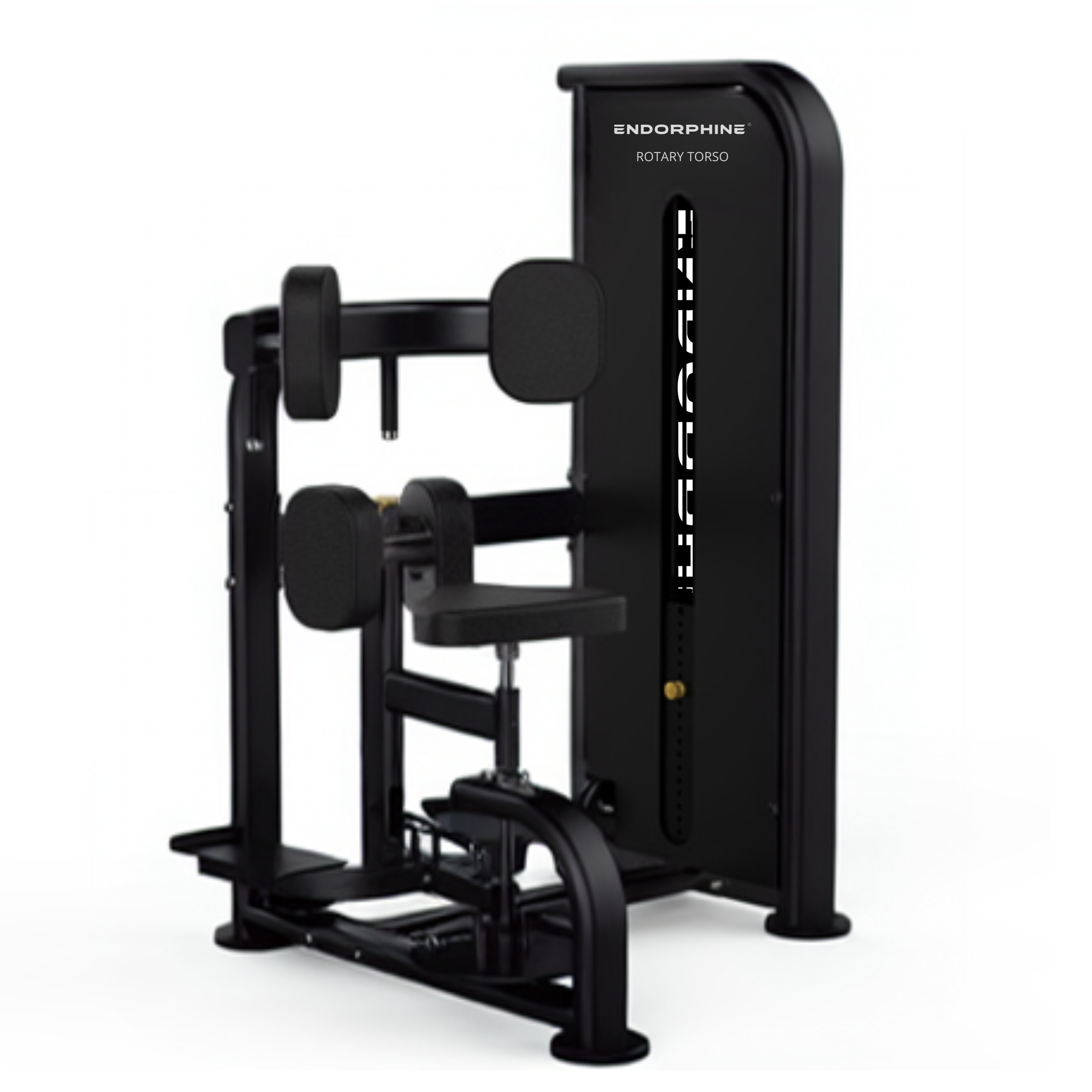 RS rotary torso