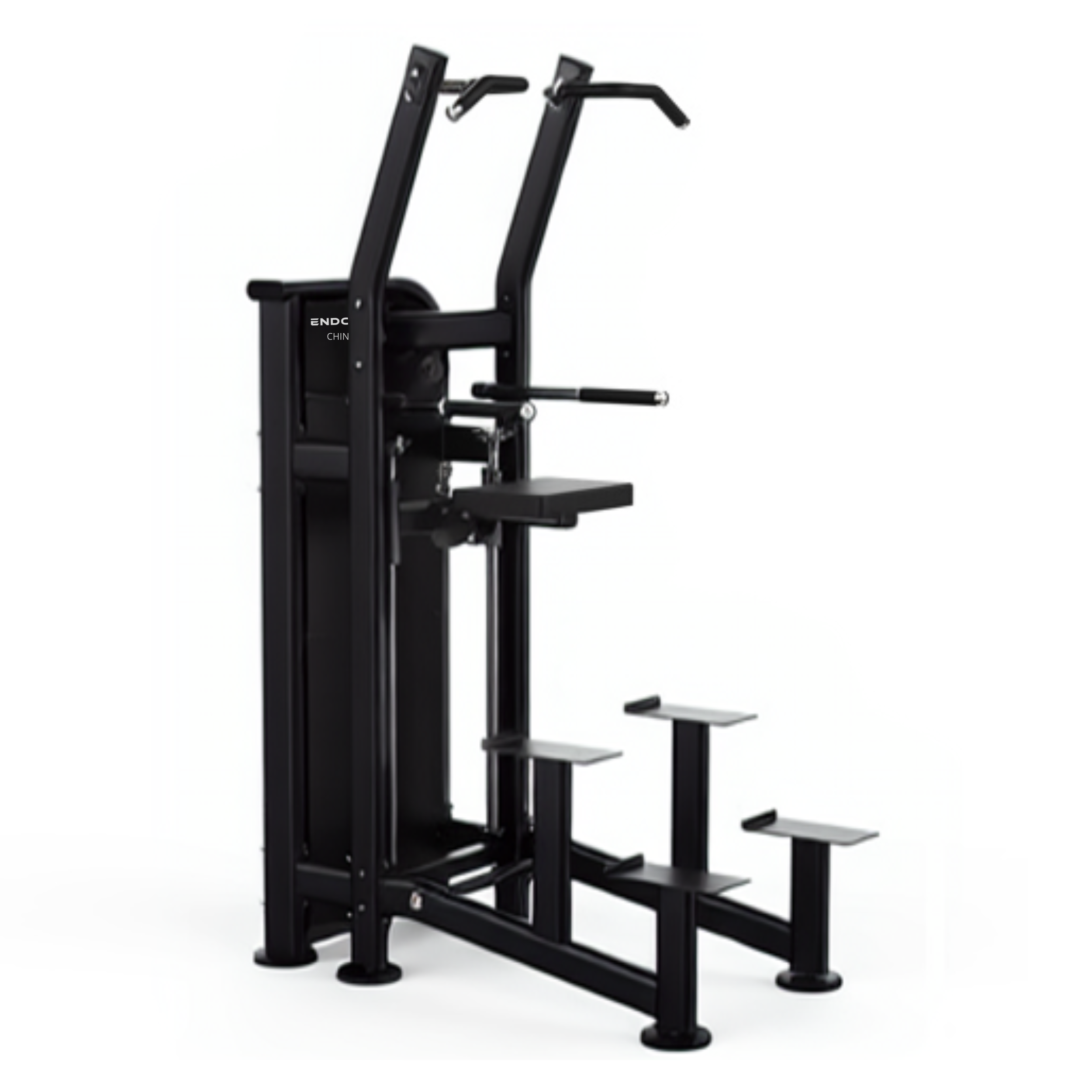 RS DUAL Chins / Dips assist
