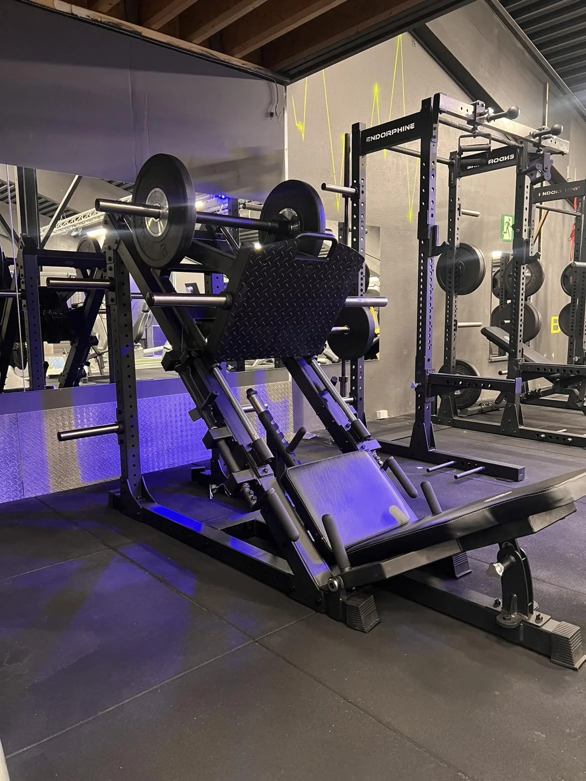 Endorphine fundamental line 45 degree leg press