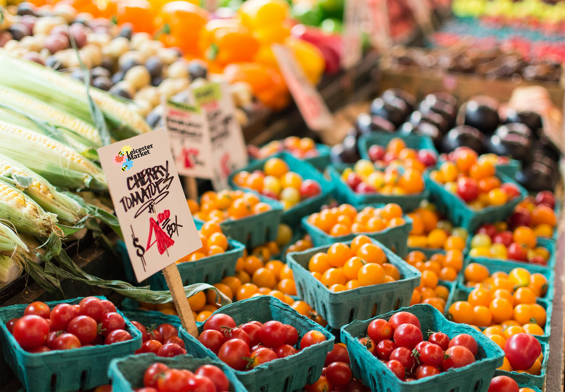 VEG SIGN MOCKUP.png