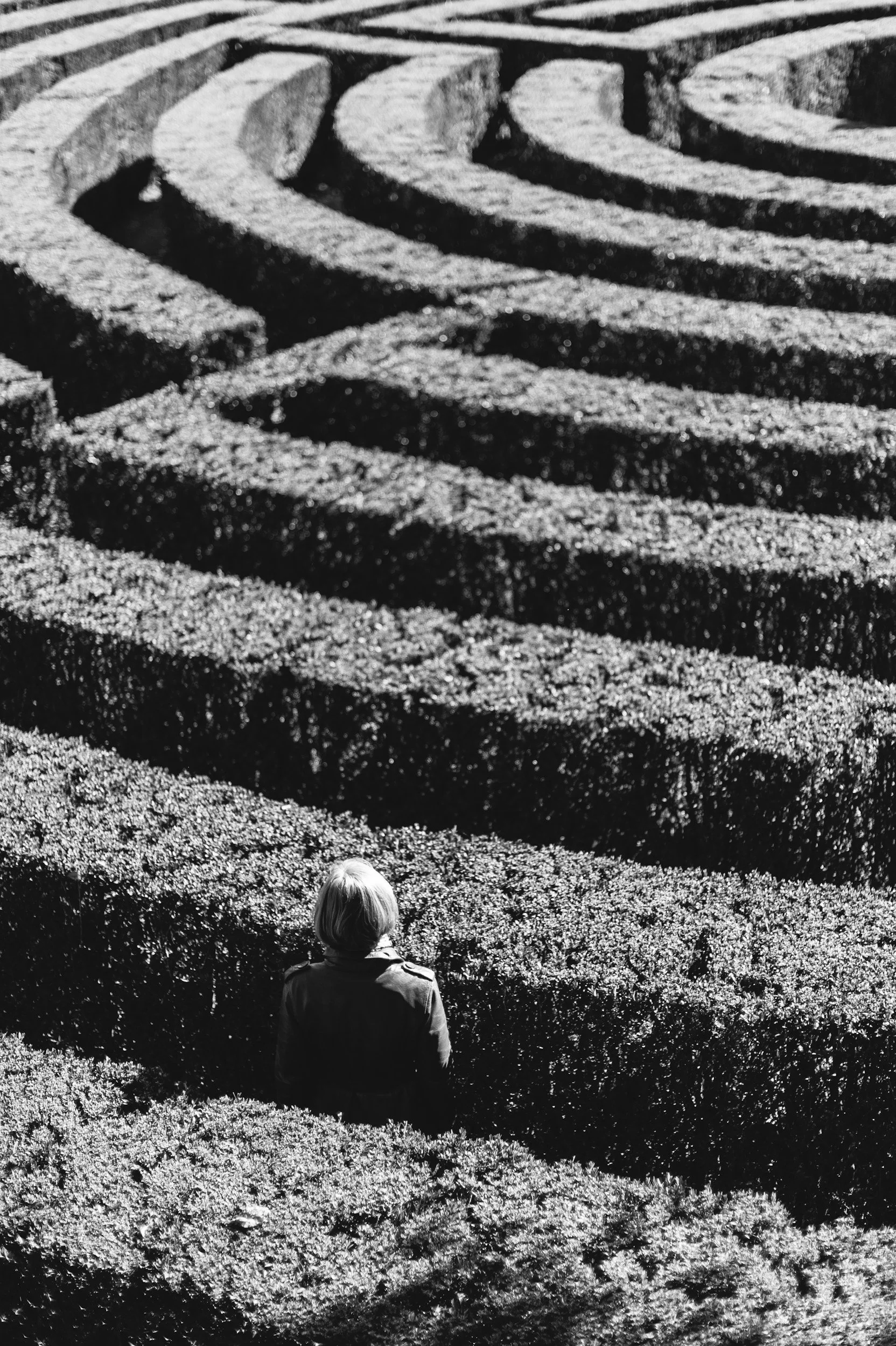 Person walking through a maze made of hedges, black and white photograph.