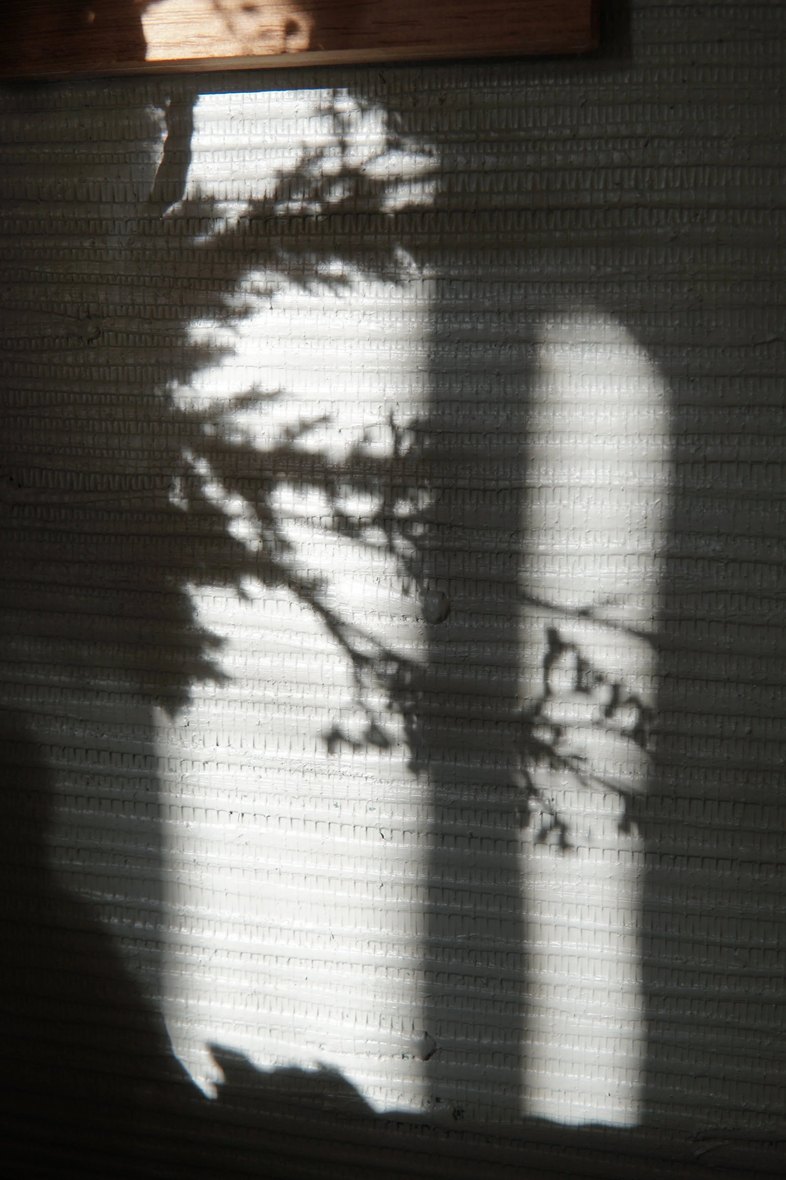 February Retreat: Softening the Soil