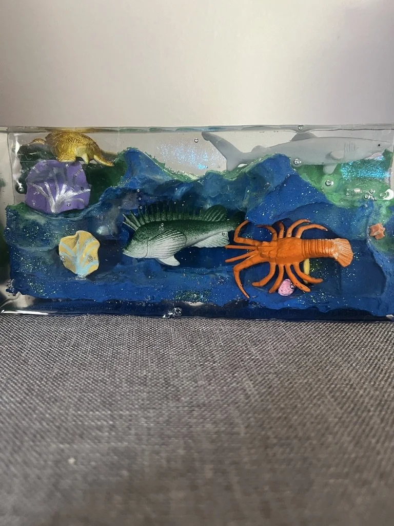 26-006 Underwater Reef with Shark