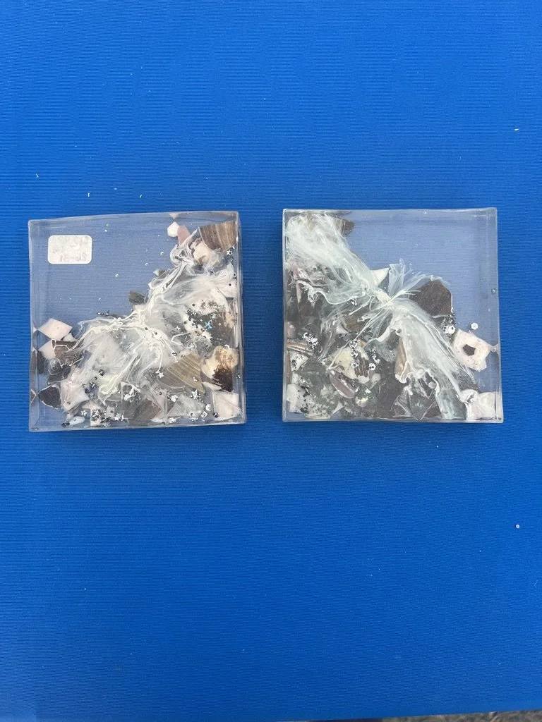 26-031 Shells and Tide Coasters