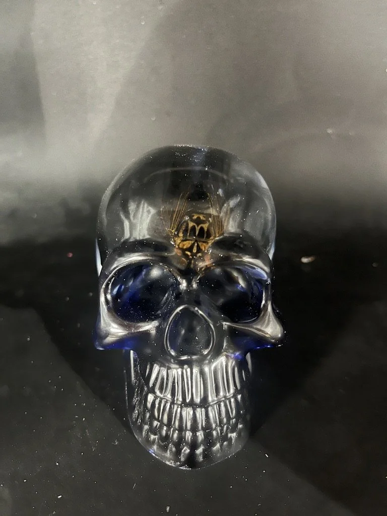 26-244 Skull with Secede